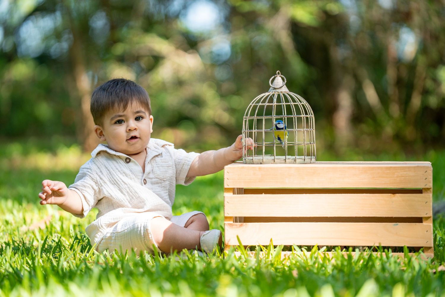 Baby exploring a small wooden birdcage decoration in a sunny outdoor garden setting.