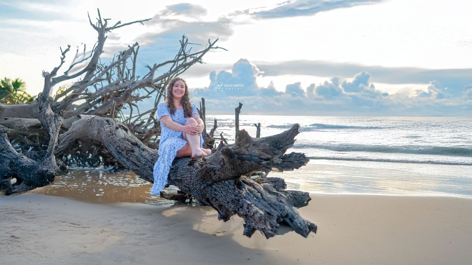 A panoramic view of a sandy beach with driftwood logs and distant mountains against a cloudy sky.