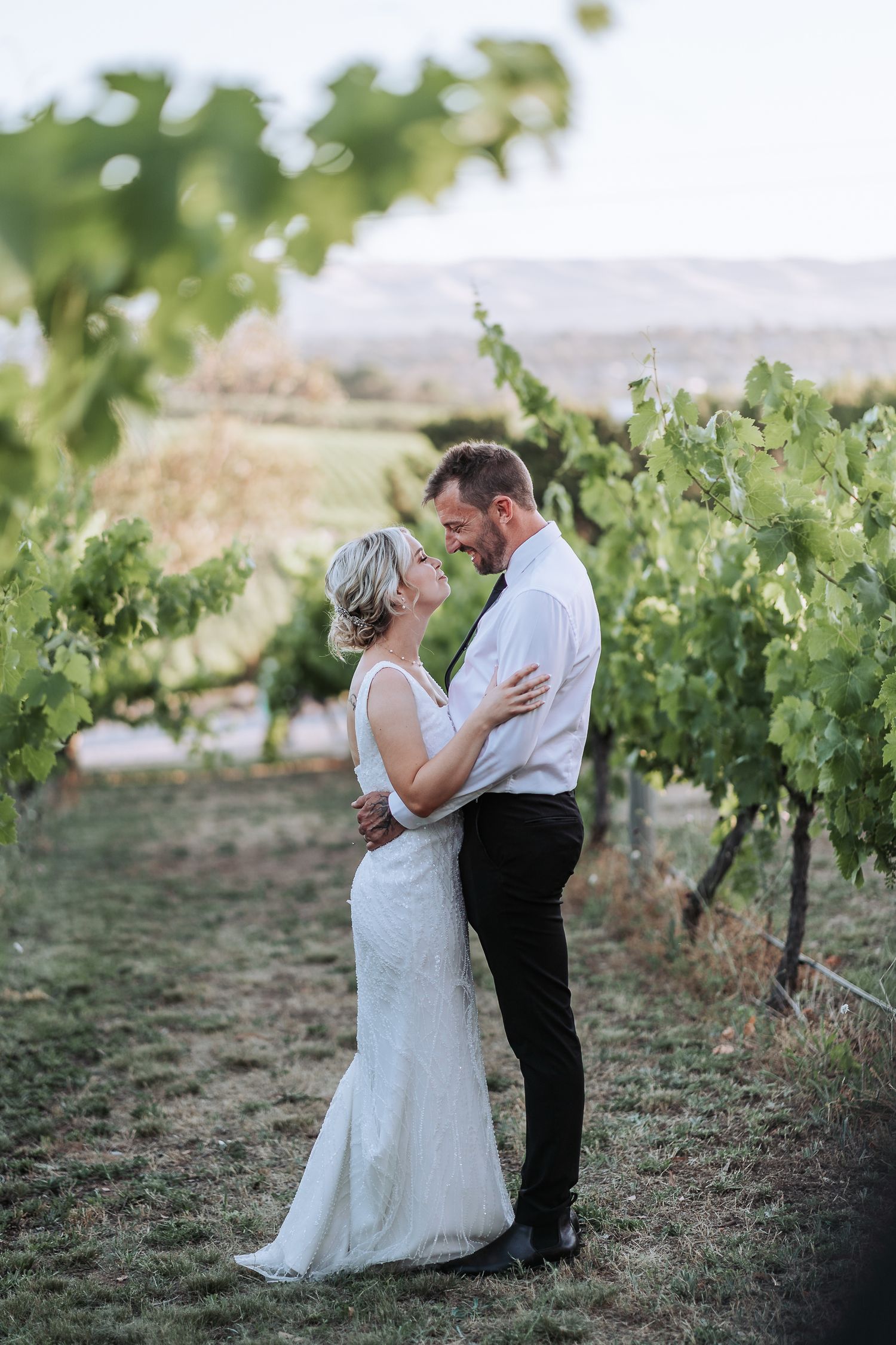 A romantic wedding couple embraces among vineyard rows at sunset creating an intimate moment in nature.