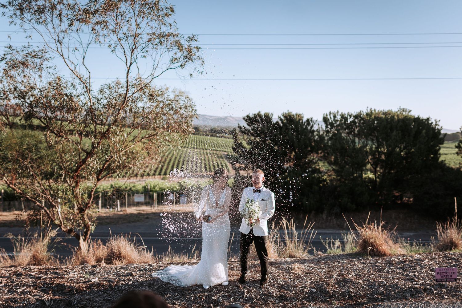 A couple stands together overlooking a scenic vineyard landscape in wine country on a bright afternoon.