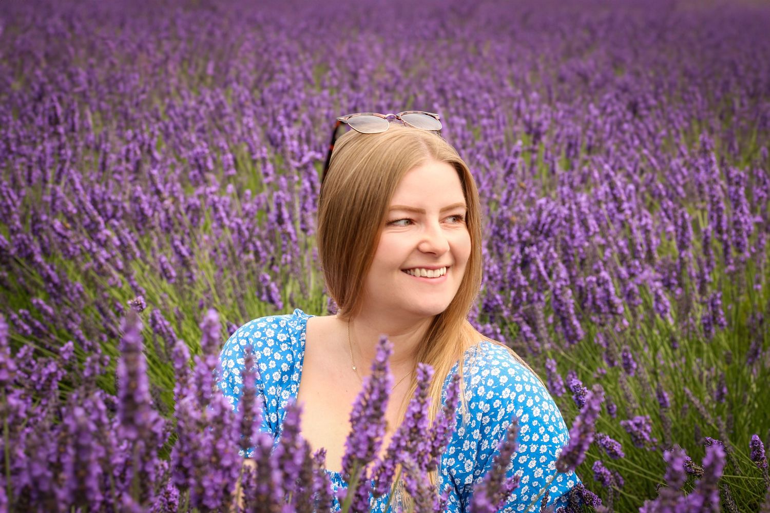 A smiling young woman with sunglasses on her head sits in a vibrant purple lavender field wearing a blue floral dress.