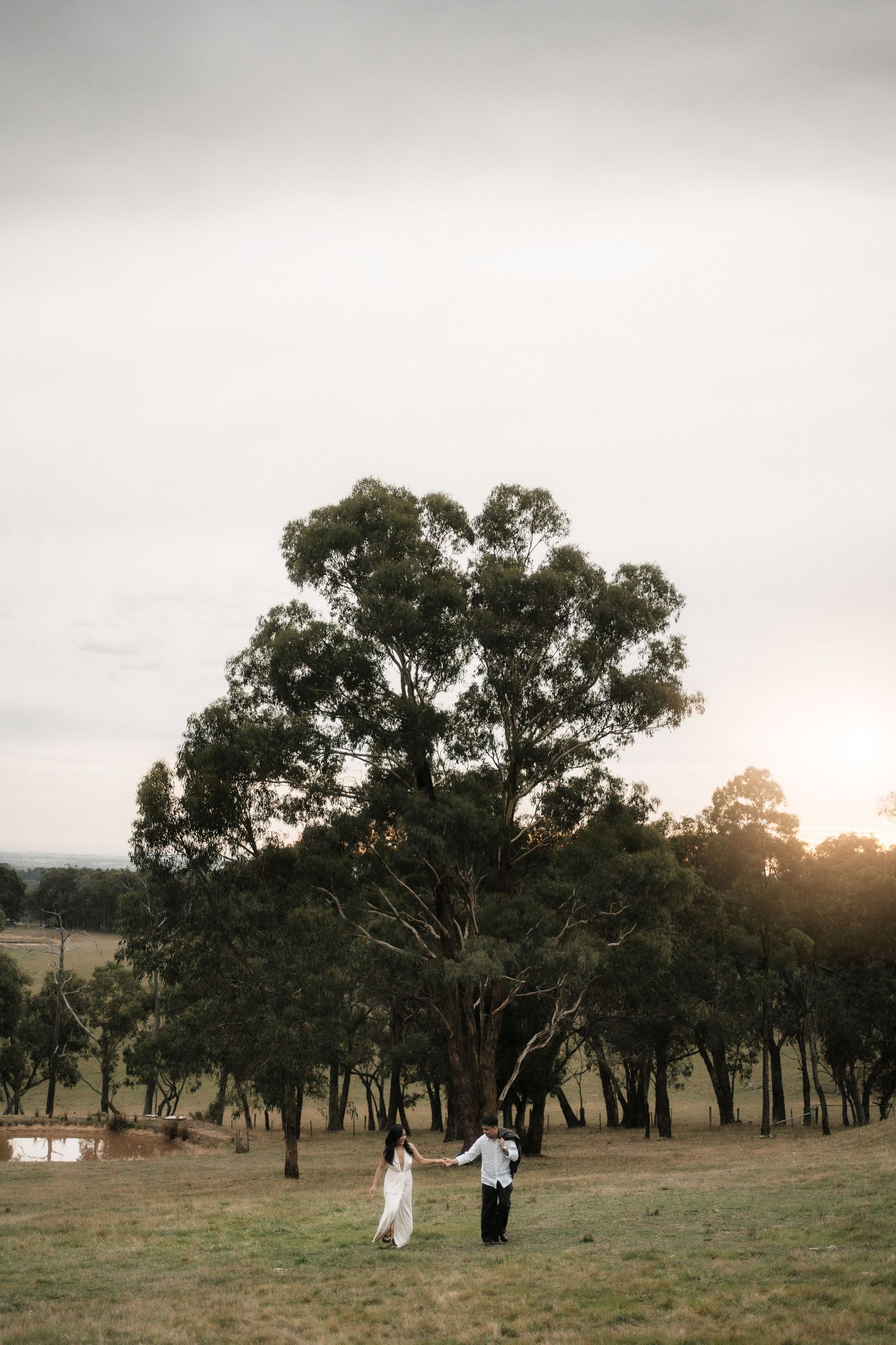 A couple walks through a scenic field at sunset with tall eucalyptus trees creating a natural backdrop.