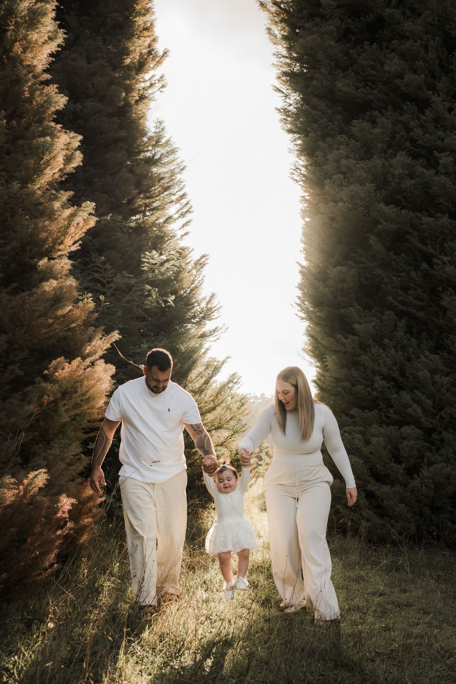 Family walking together between tall evergreen trees at sunset with sunlight streaming through the branches.