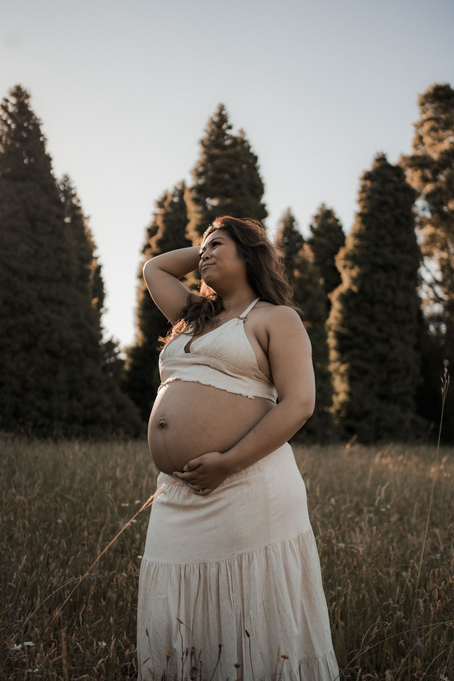 A maternity portrait in a field during golden hour with evergreen trees in the background.