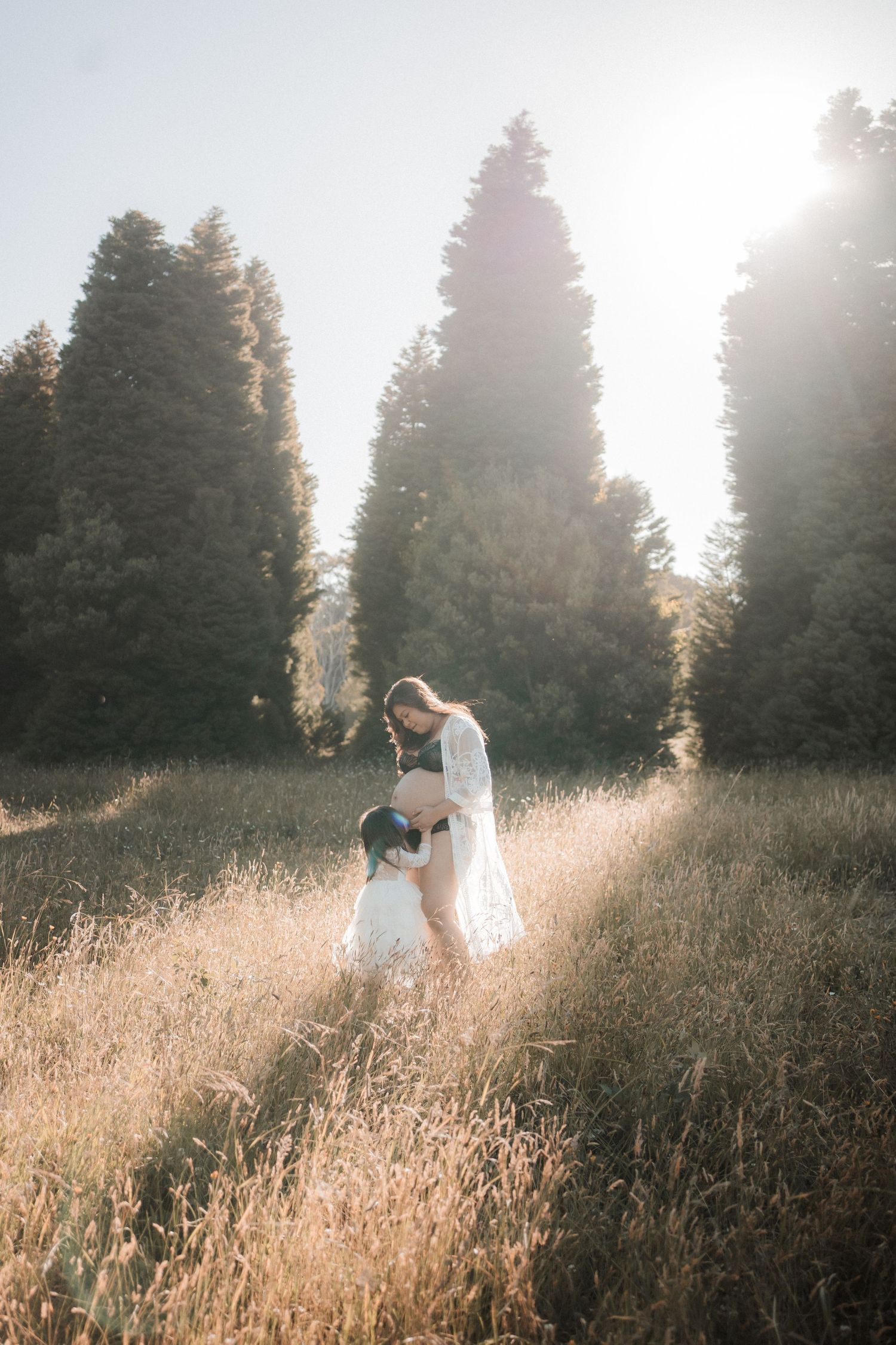 A dreamy backlit scene in tall golden grass with evergreen trees as two figures embrace in ethereal sunlight.