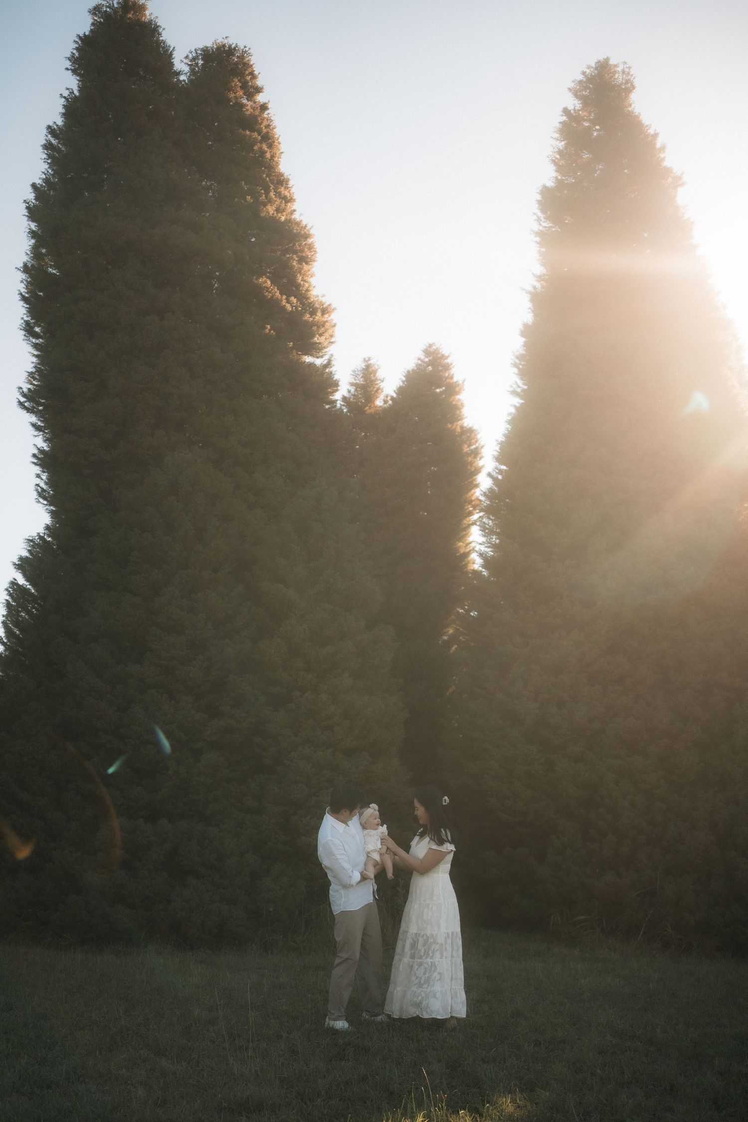A couple in wedding attire stands silhouetted against sunlit evergreen trees during golden hour.