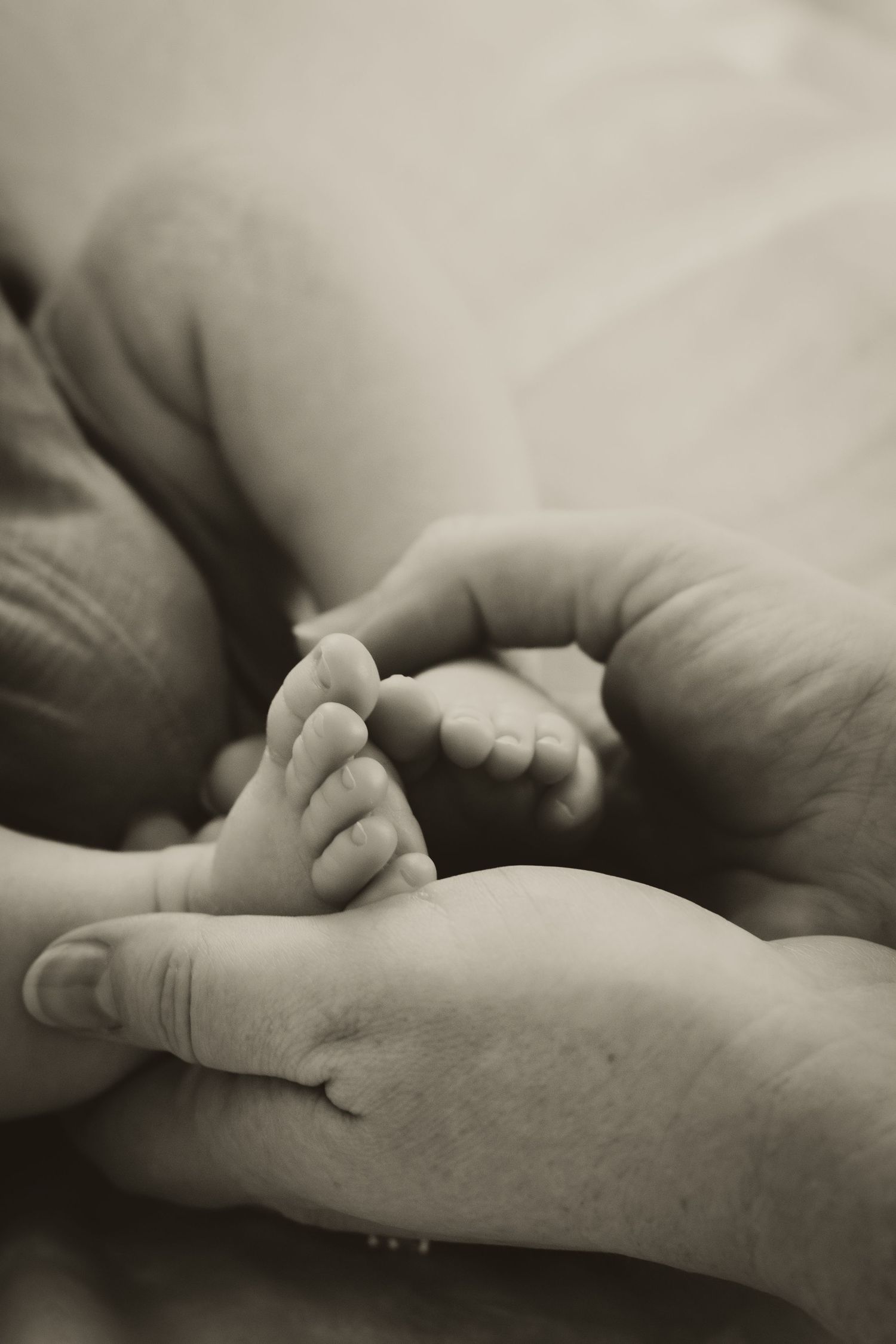 Black and white close-up of parent hands gently holding delicate newborn baby feet.