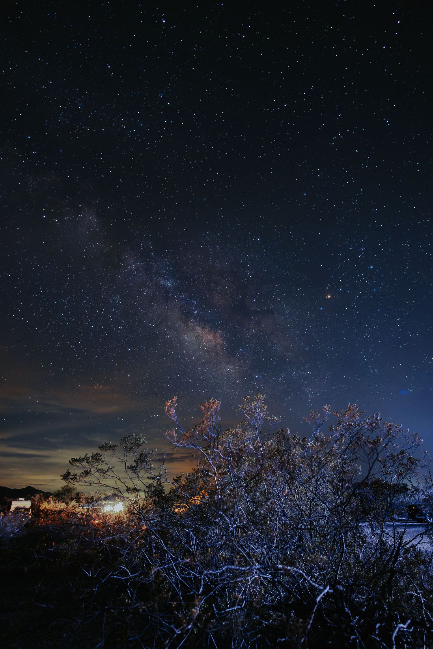 Milky Way galaxy visible over silhouetted trees against a stunning star-filled night sky in a dark rural landscape.