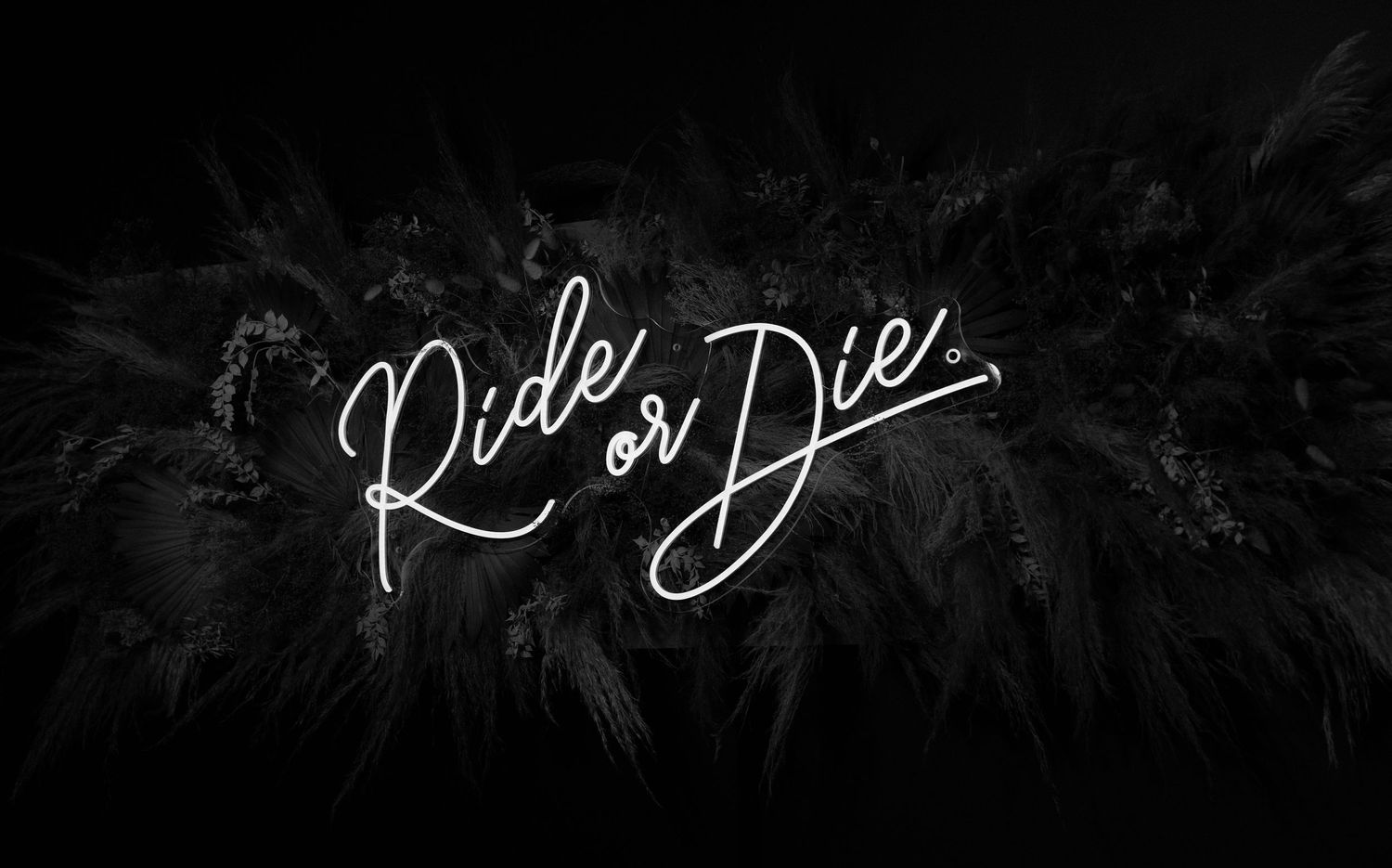 Glowing neon text reading 'Ride or Die' in cursive script against dark palm tree silhouettes at night.