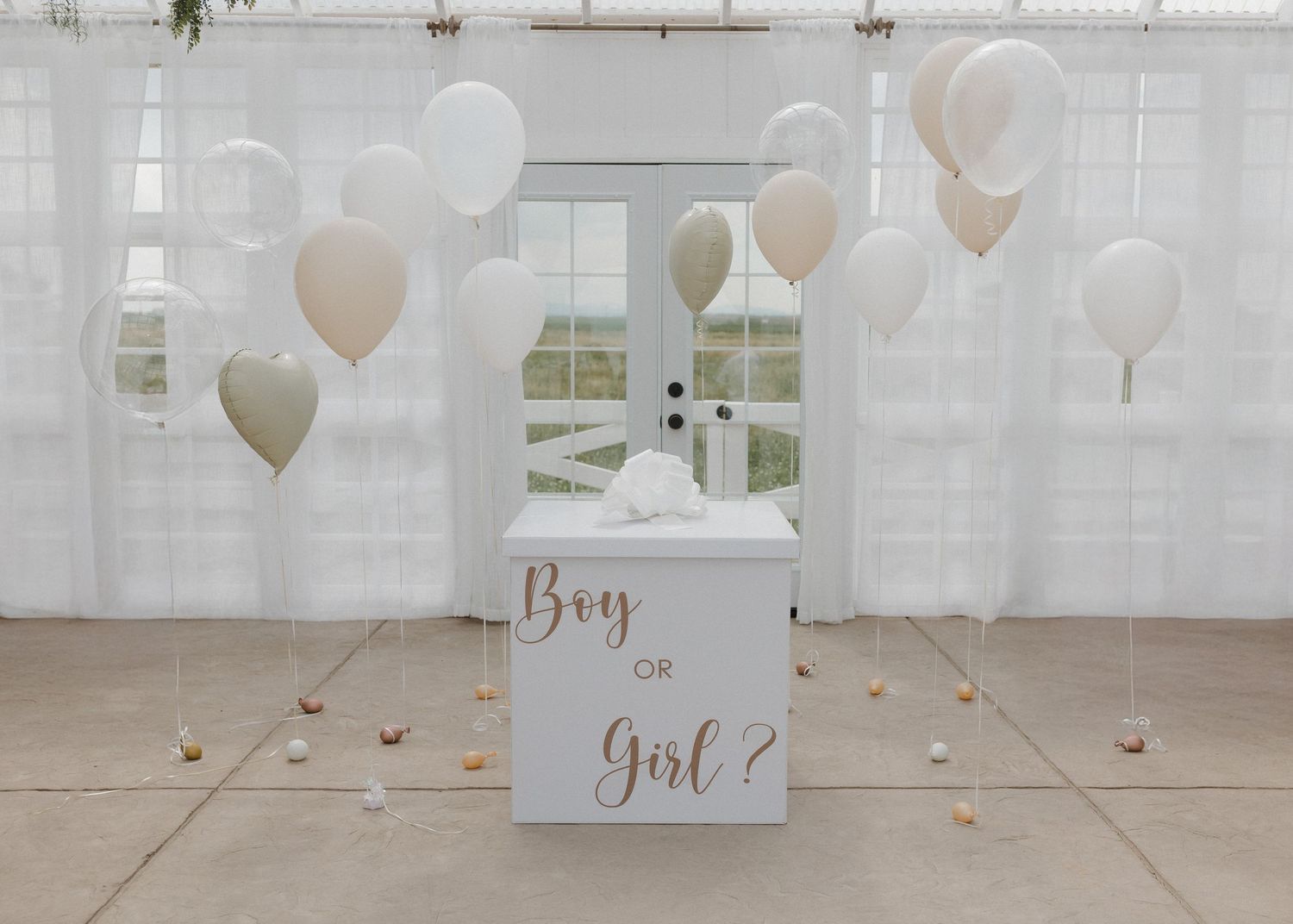 Gender reveal setup with white and beige balloons surrounding an elegant white box display at an indoor celebration.
