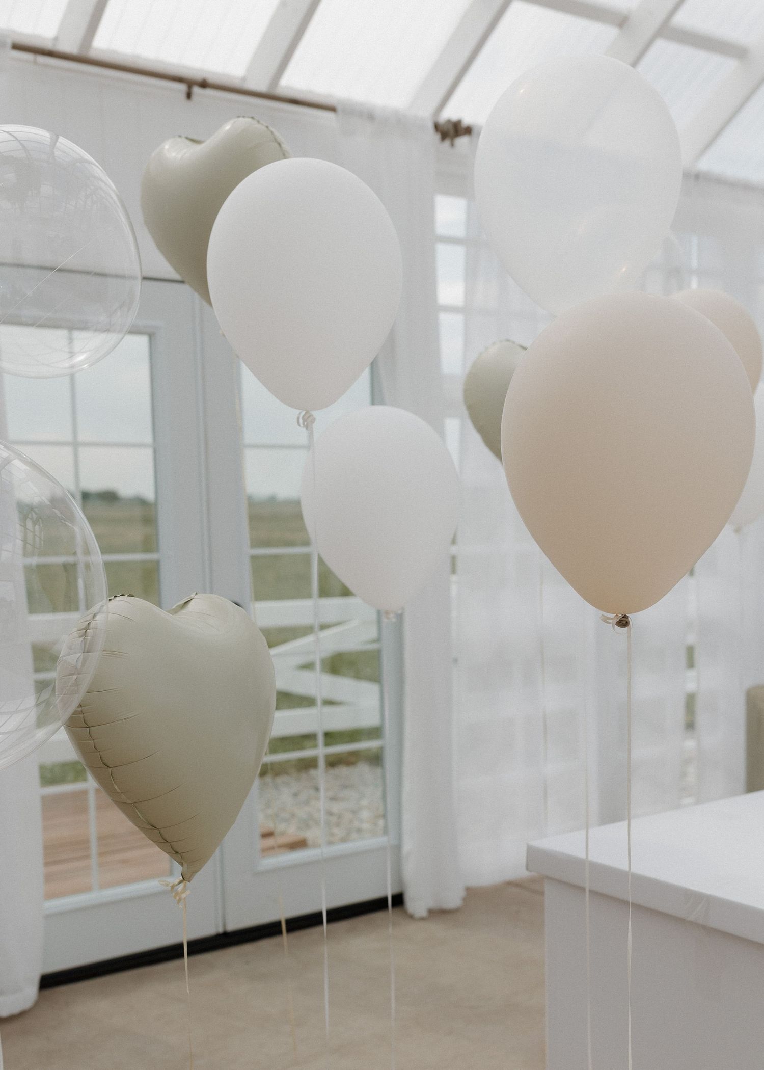 Elegant white and cream balloons float in a bright sunlit room with large windows and sheer curtains.