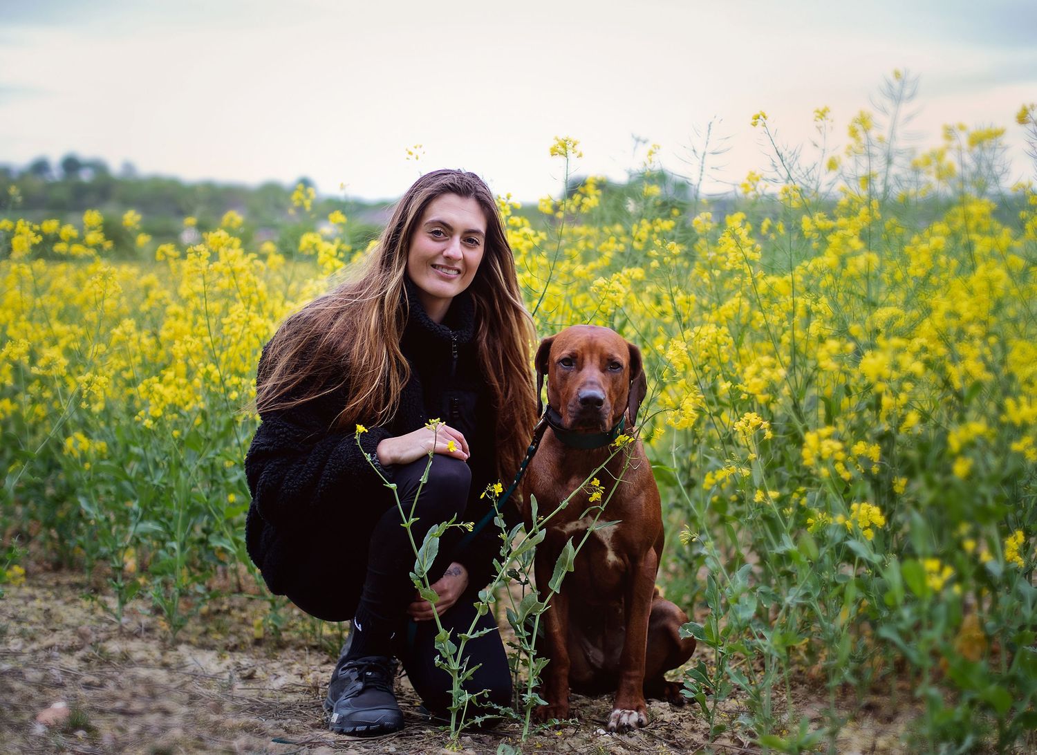 Woman crouching with a Vizsla dog in a vibrant yellow wildflower field at dusk.