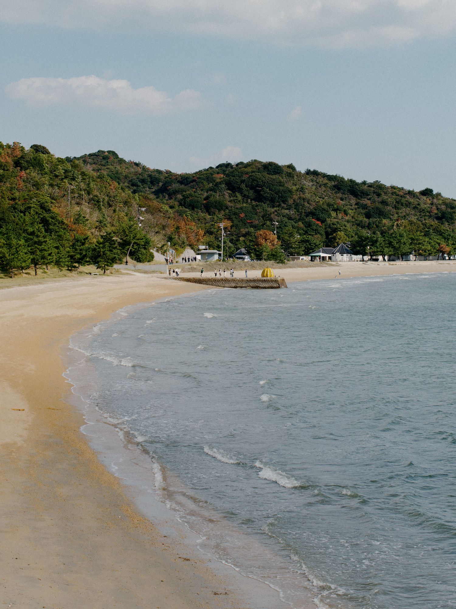 A curved sandy beach with gentle waves meets a lush green hillside on a calm tropical coastline with a small pier.