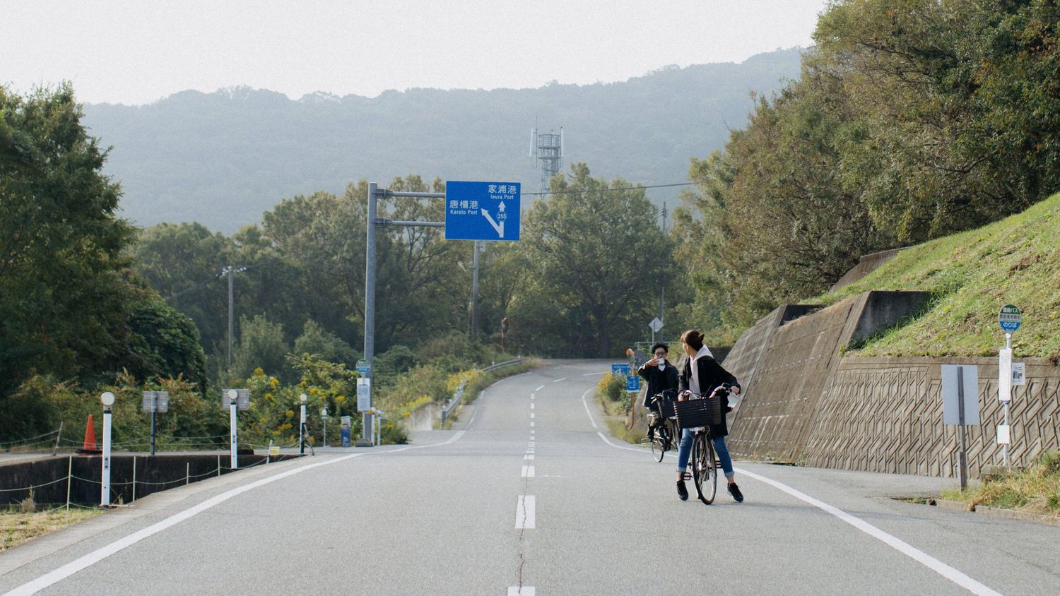 A winding road stretches along a mountainous coast with green foliage and guardrails visible in Japan.