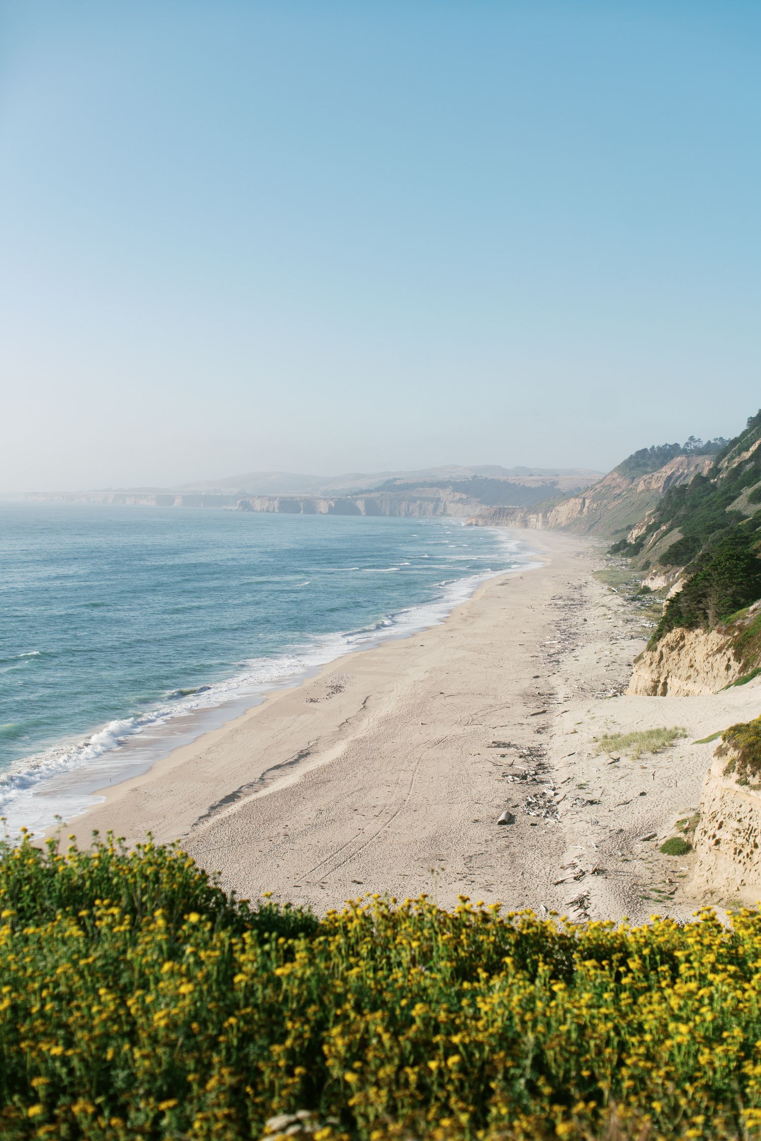Scenic coastal view of a sandy beach with yellow wildflowers in foreground and rocky cliffs stretching along California coastline.