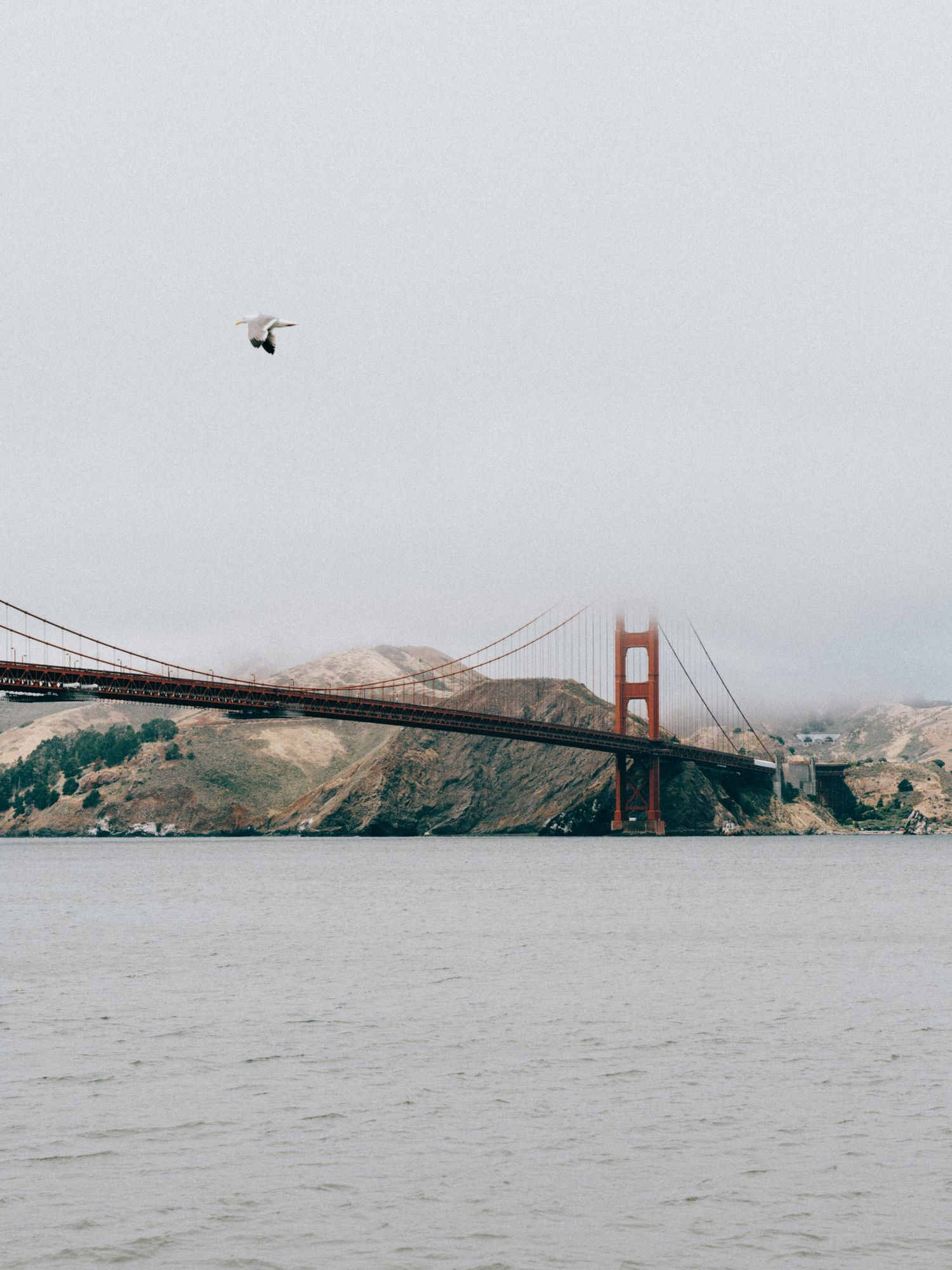 A panoramic sequence showing the iconic Golden Gate Bridge and San Francisco Bay on an overcast, misty day.