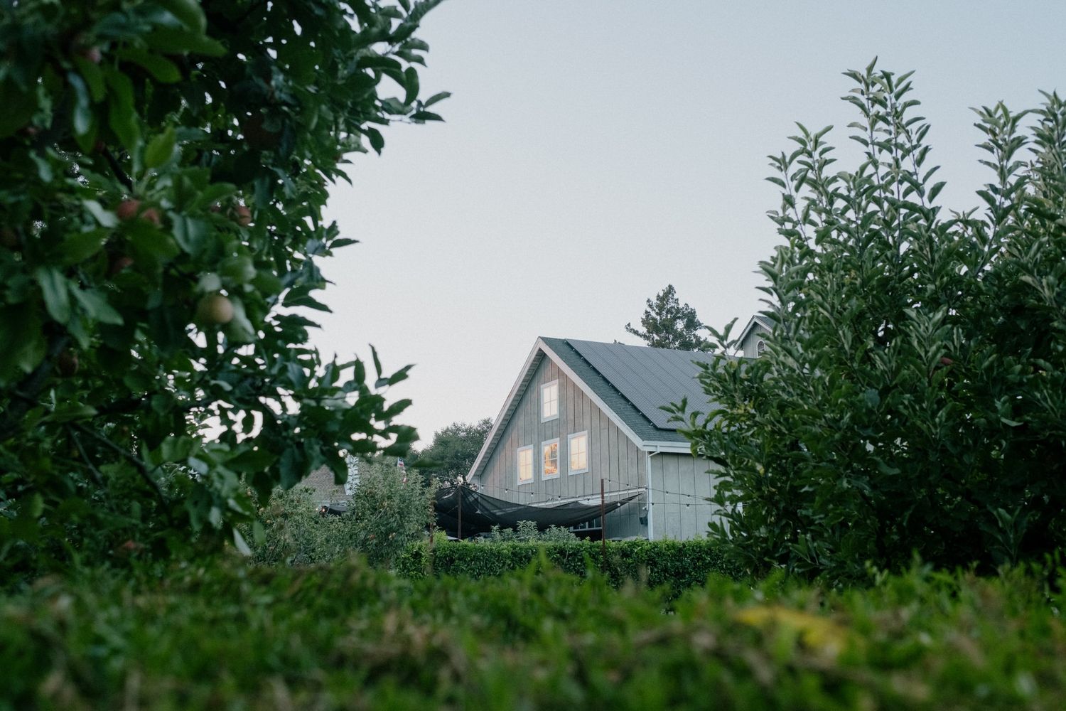 A charming cottage house nestled among lush green trees and grass in a serene garden setting at dusk.