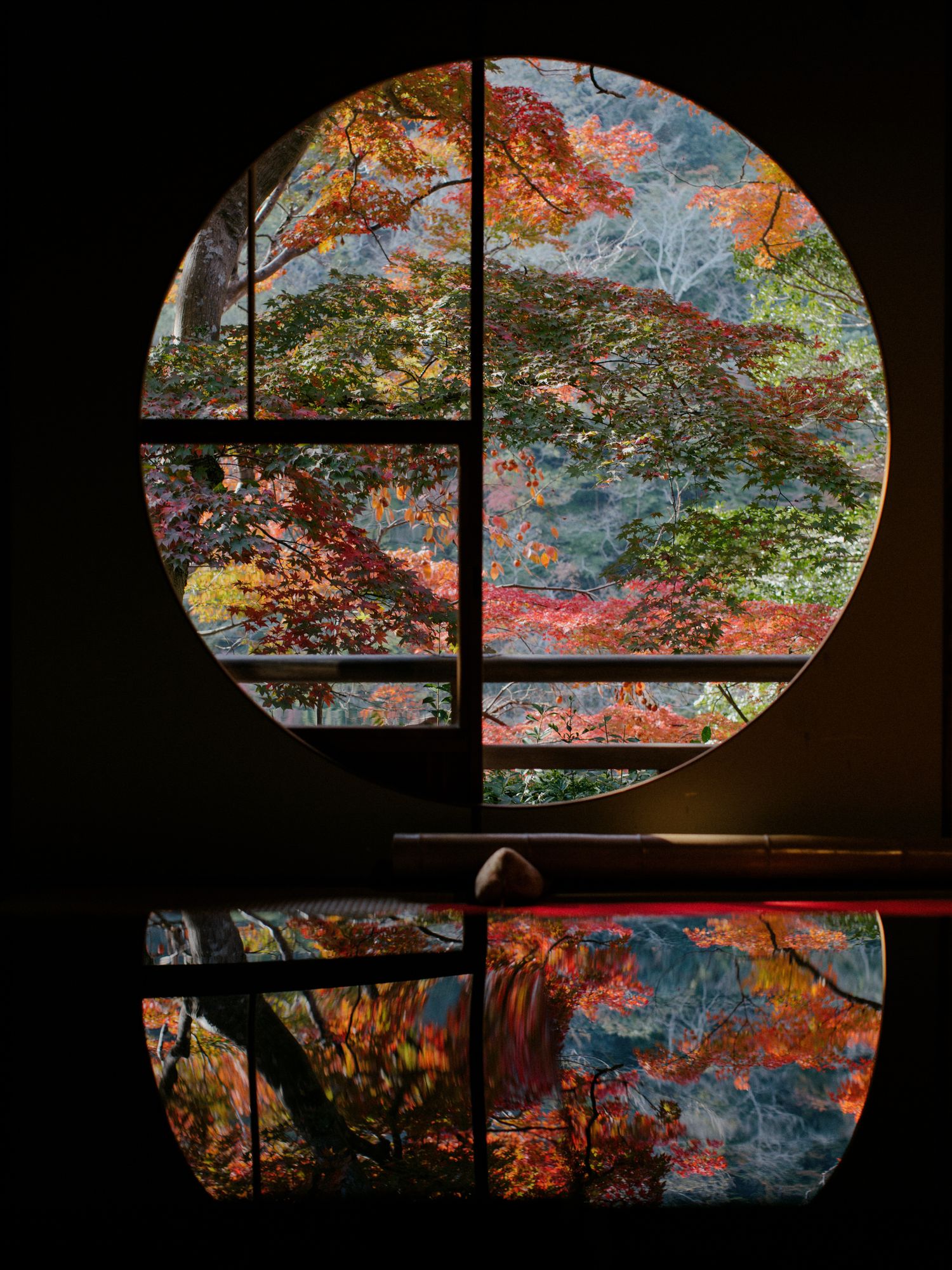 Traditional Japanese window frames reveal stunning autumn maple foliage with vibrant red and orange leaves against a blue sky.