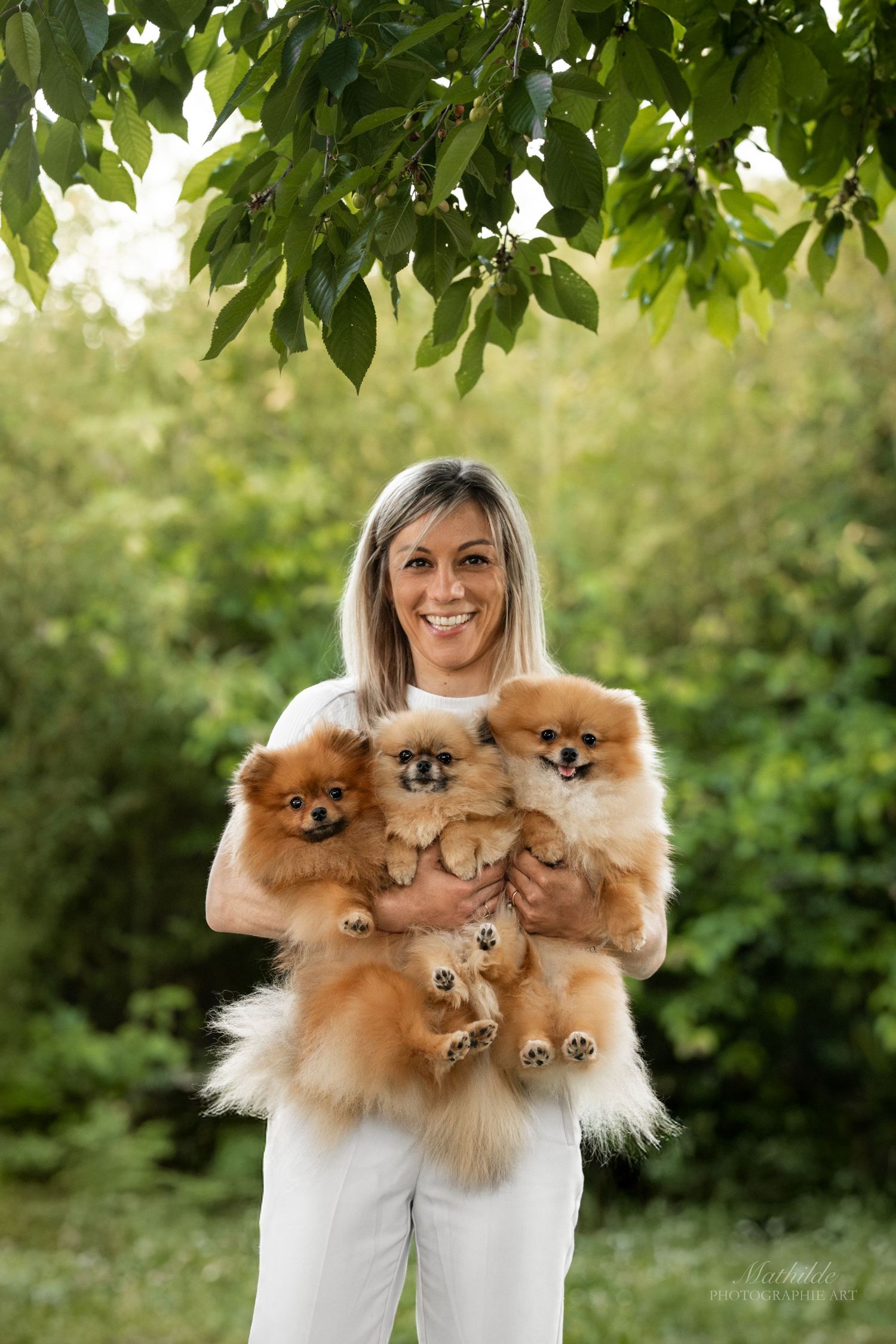photographe chien
séance photo chien
photographie animaux de compagnie
portrait de chien
photo chien extérieur
photographe Drôme Valence