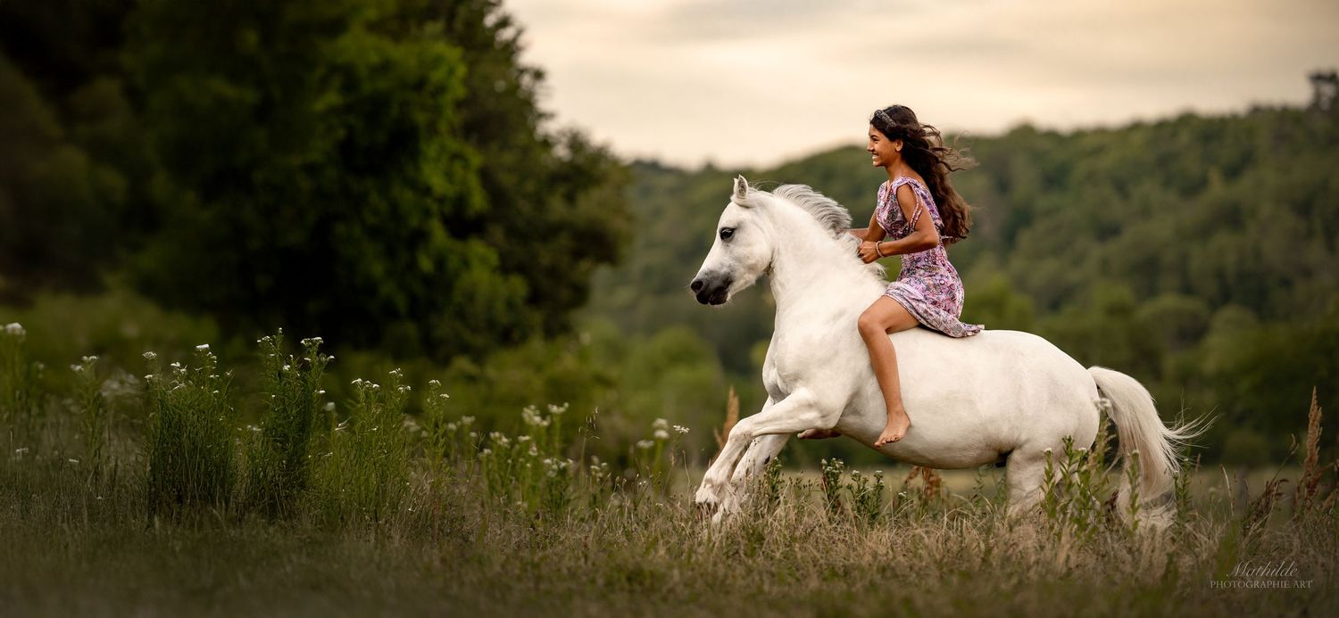 photographe cheval
séance photo chevaux
photographie animaux de compagnie
photo cheval extérieur
photographe Drôme Valence Isère