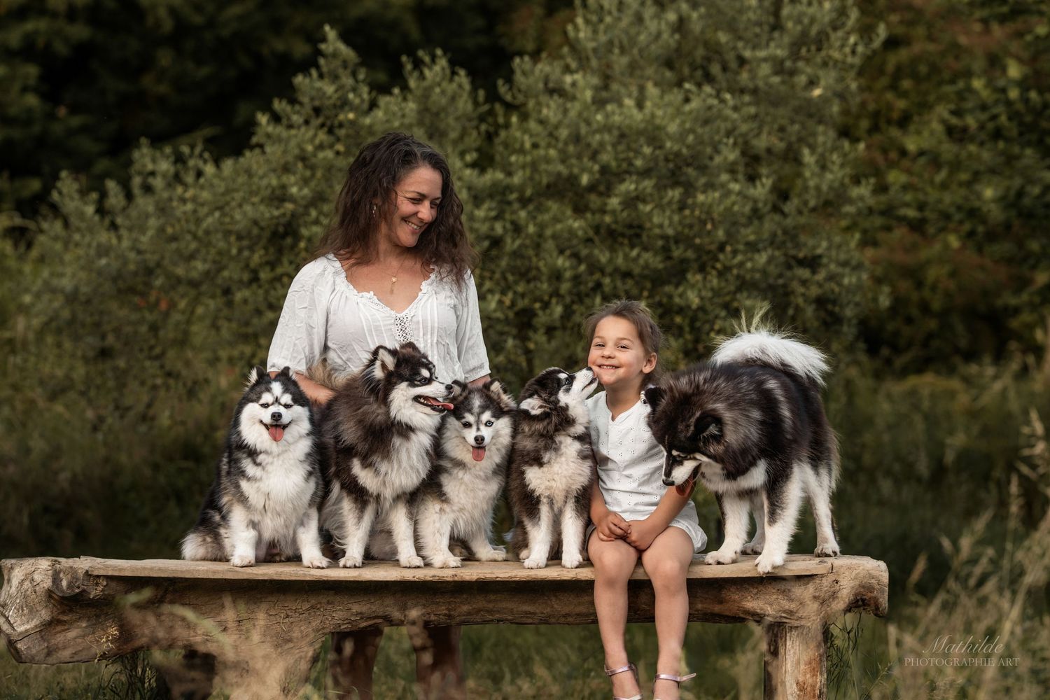photographe chien
séance photo chien
photographie animaux de compagnie
portrait de chien
photo chien extérieur
photographe Drôme Valence