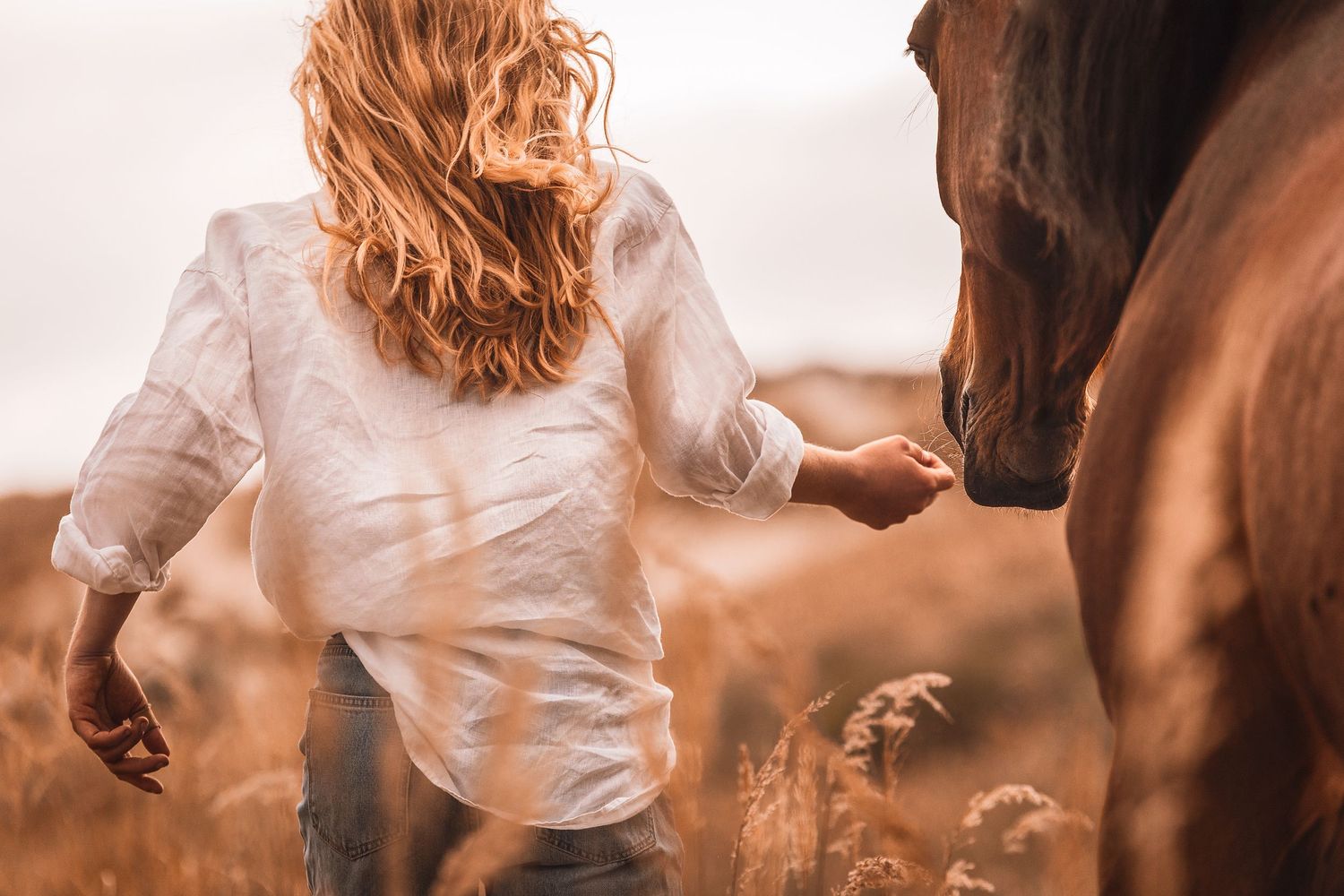 Blonde Frau mit weißer Bluse läuft mit braunem Pferd durch hohes Gras und hat eine sanfte Verbindung zu ihrem Pferd