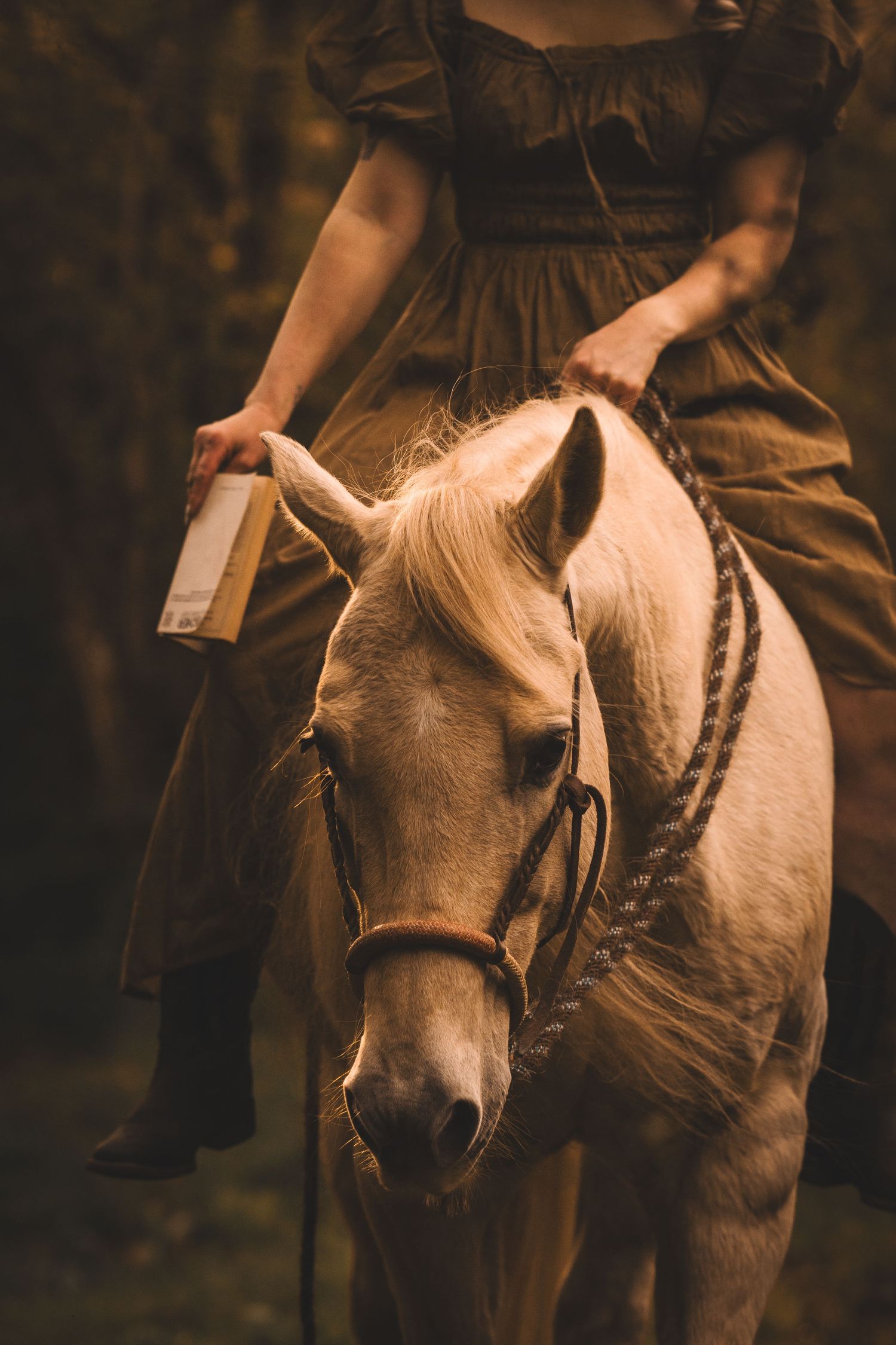Frau sitzt auf weißem Pferd (Schimmel) mit einem grünen Kleid und einem Buch in der Hand