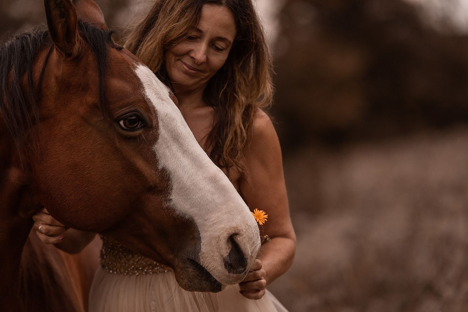 Frau lässt braunes Pferd mit weißer Blässe an gelber Blume schnuppern beim Fotoshooting bei Madlen Becker Photography