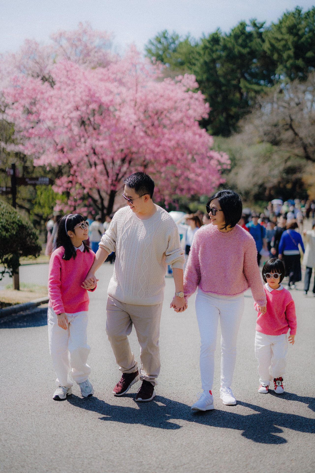 Family enjoying a spring walk together beneath blooming pink cherry blossoms on a sunny day in the park.