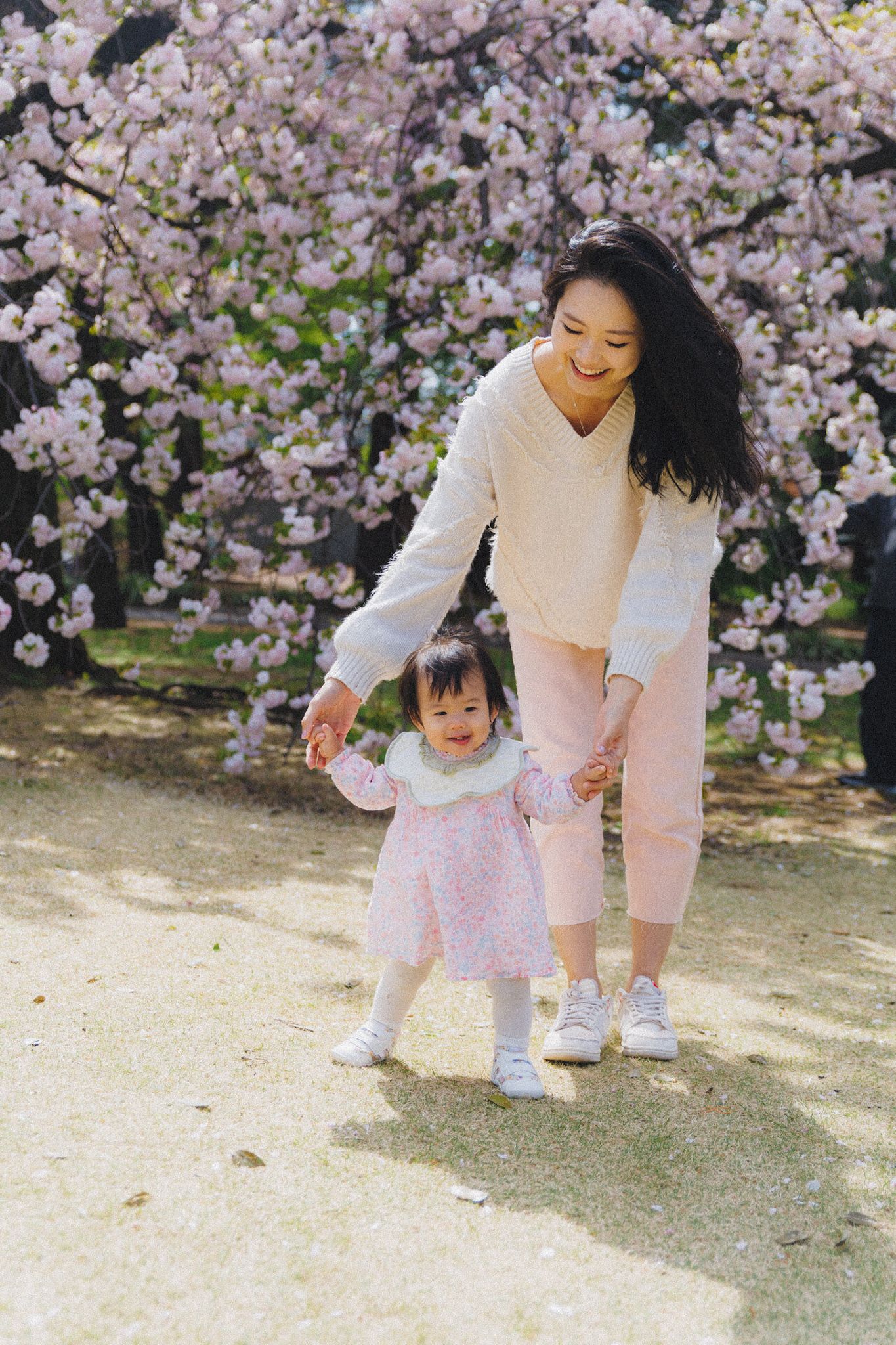 A tender moment captured beneath blooming cherry blossoms on a spring day, with casual white and pink outfits.