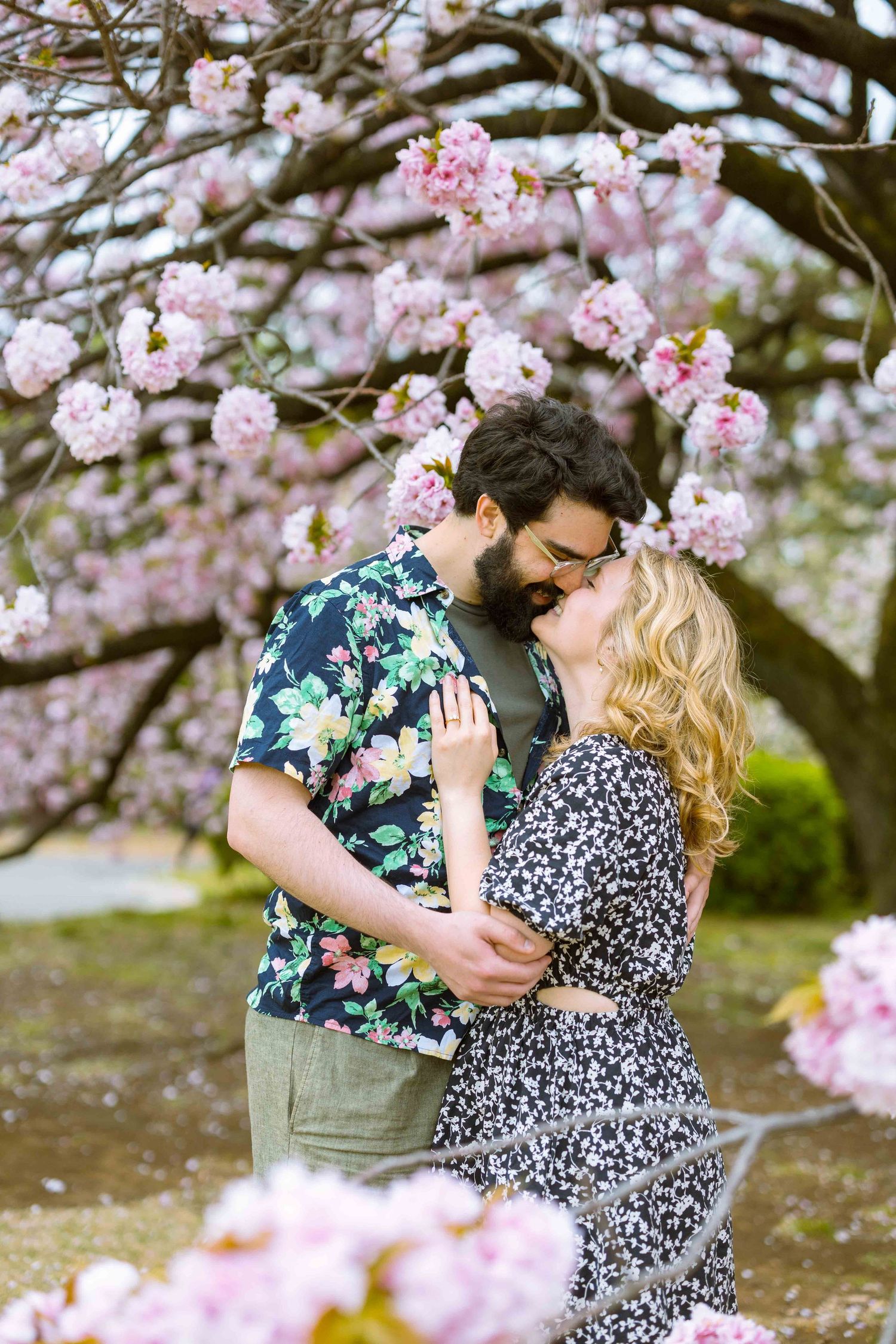 A romantic couple embraces under blooming pink cherry blossoms in spring.