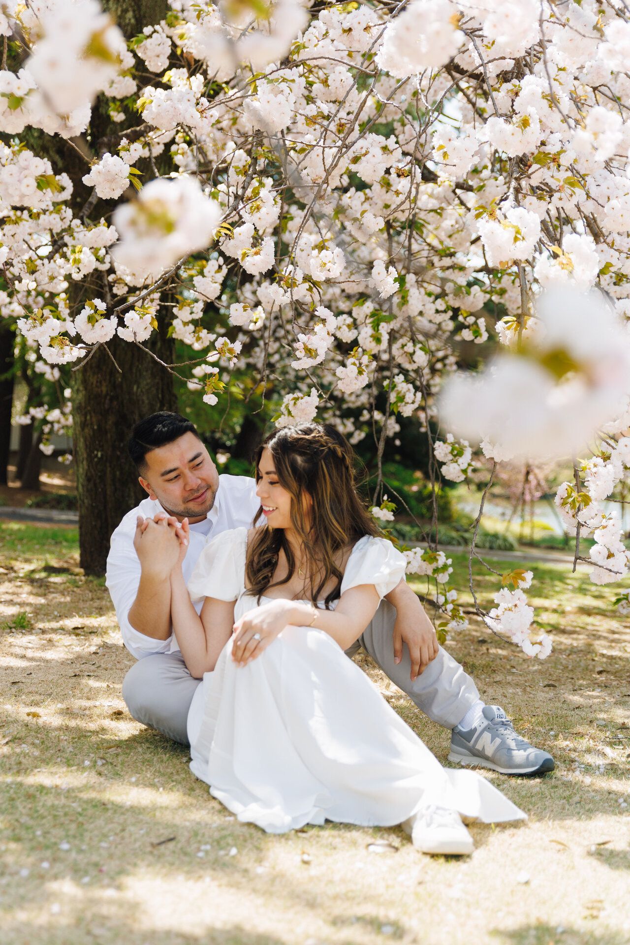 A romantic spring scene under blooming cherry blossoms as a couple relaxes on grass in a park.