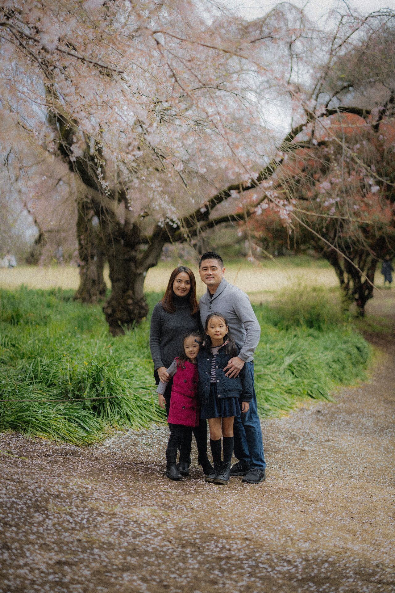 A group poses together on a gravel path beneath blooming cherry blossom trees in a park during spring.