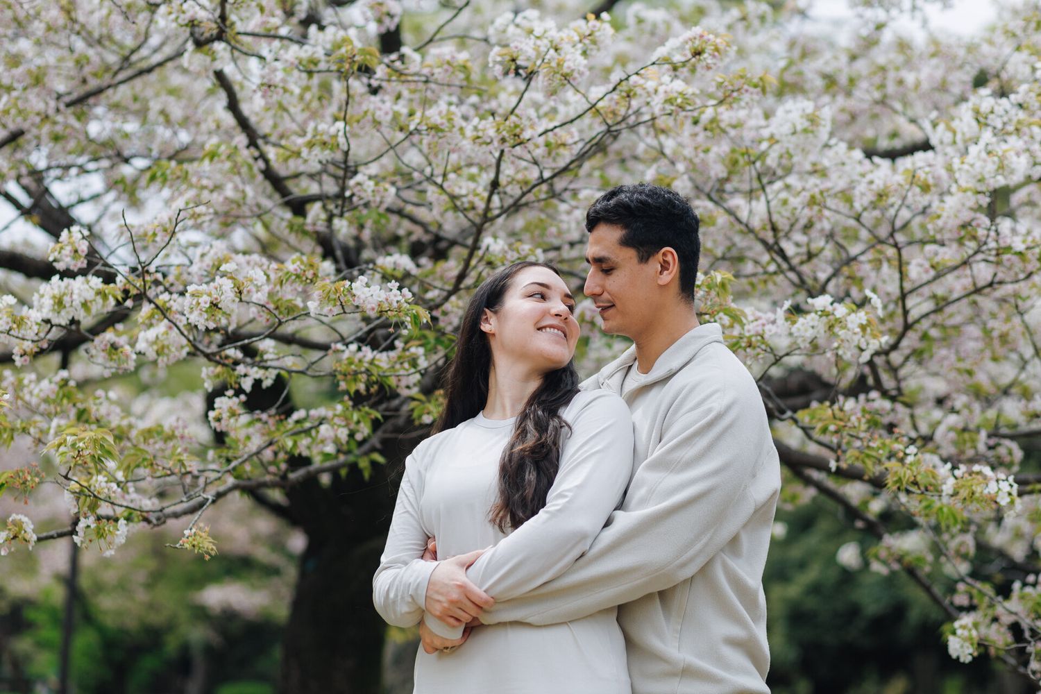 A couple in white outfits embraces under blooming cherry blossom trees during springtime.