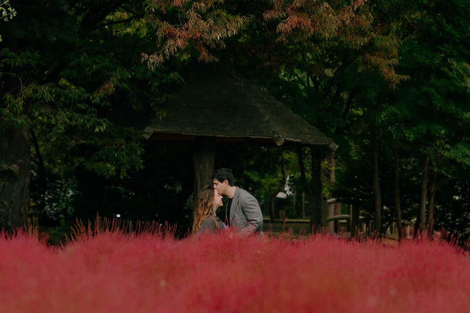 A couple embraces during an outdoor autumn photoshoot with vibrant fall foliage in the background.