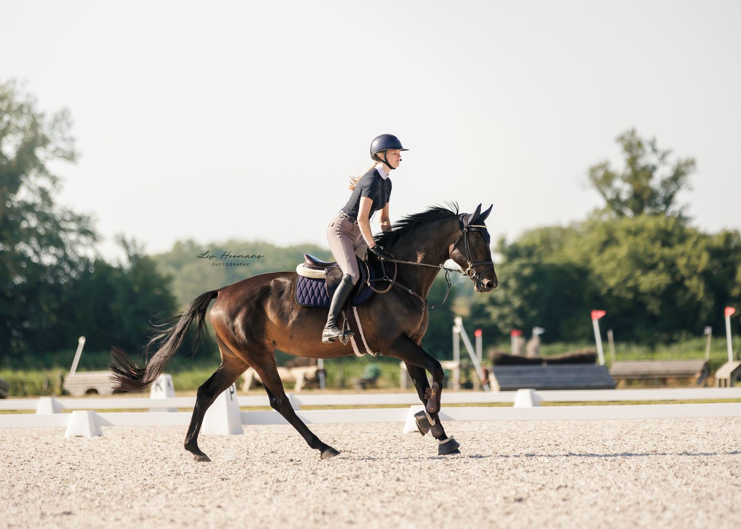 Liefdevolle paardenfotografie Twente - LivHoomansPhotography