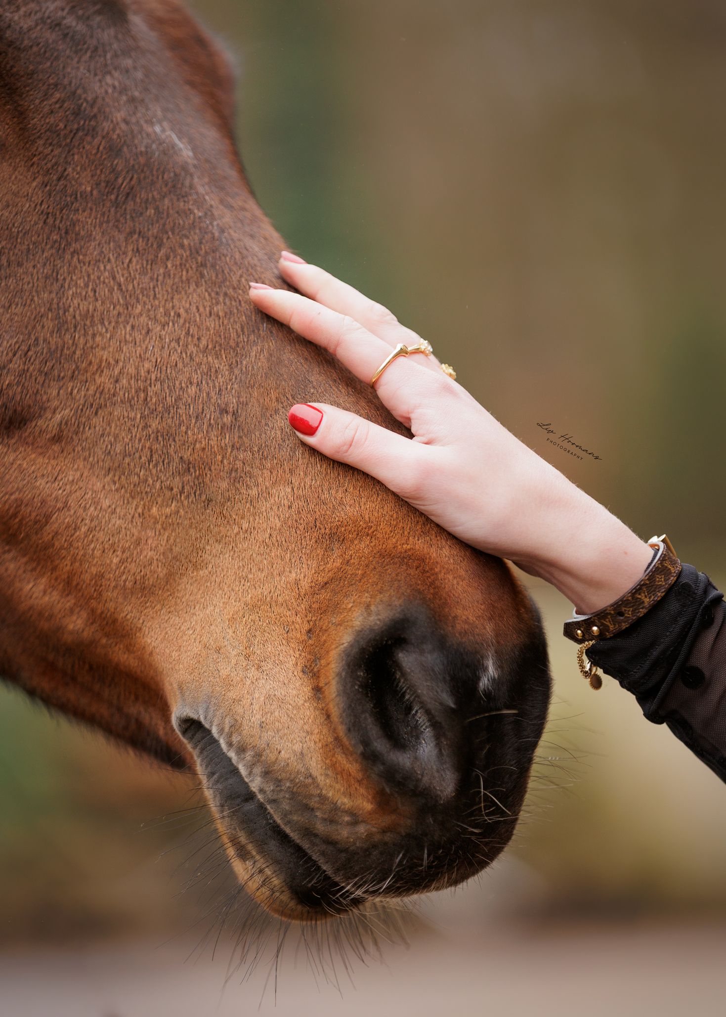 Liefdevolle paardenfotografie Twente - LivHoomansPhotography