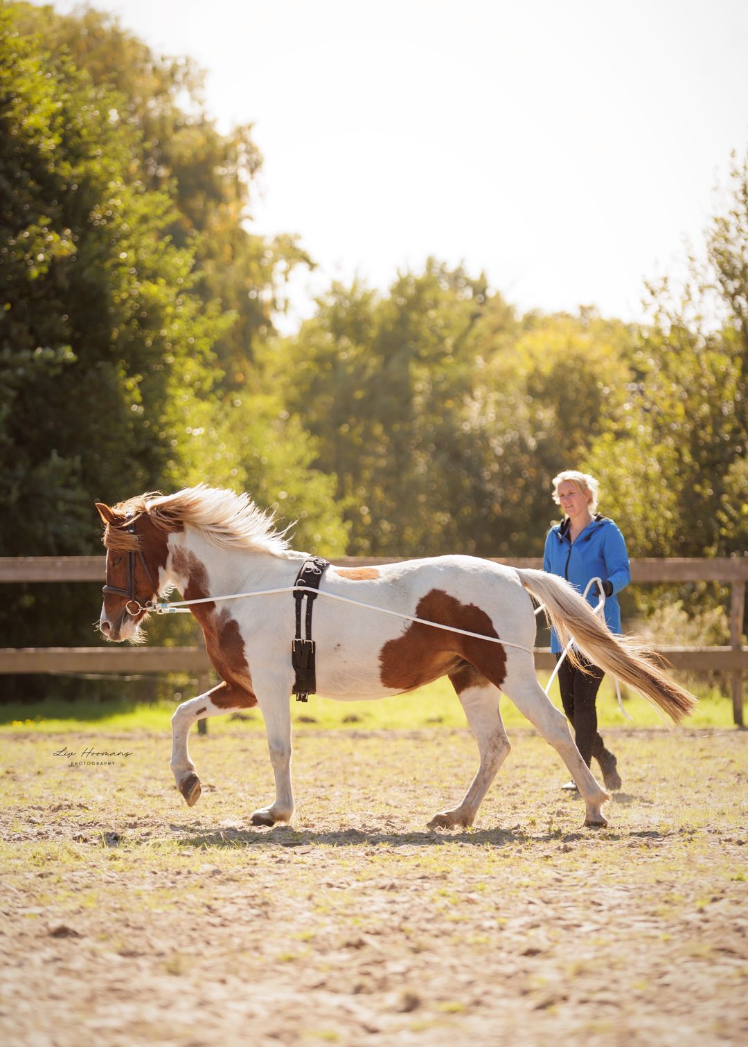 Liefdevolle paardenfotografie - LivHoomansPhotography - DeHippischeBeeldbank