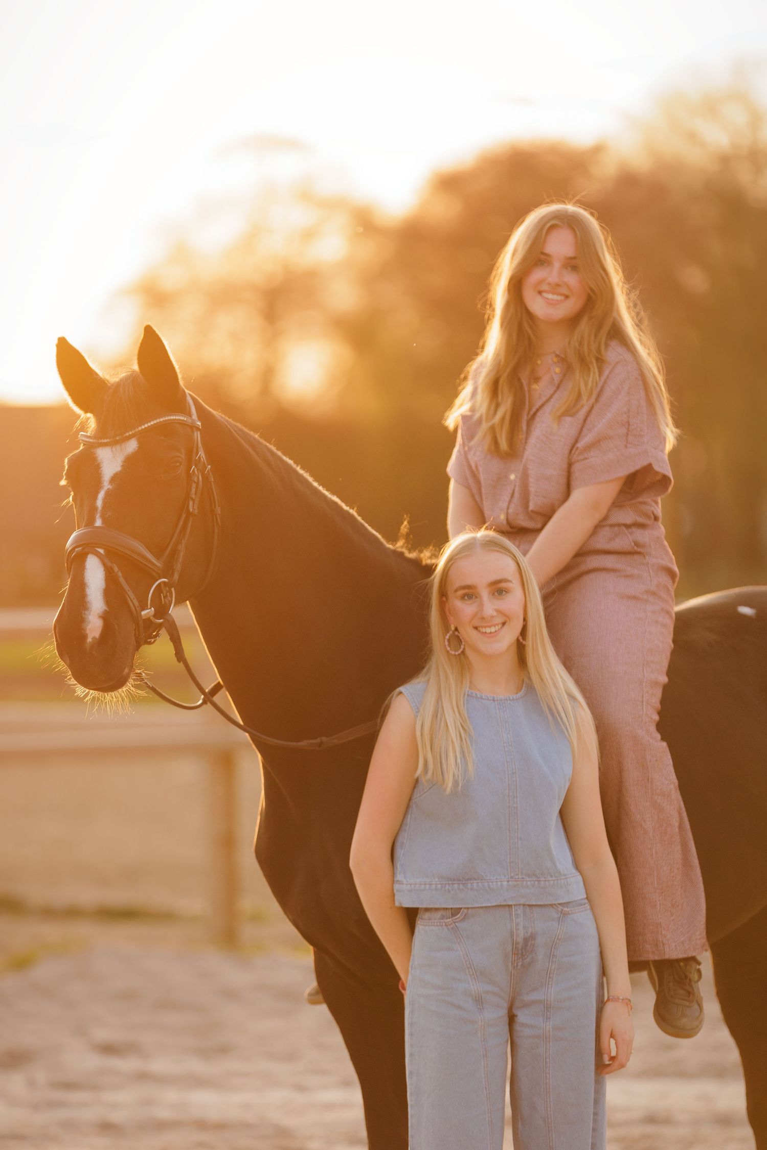 Paard gefotografeerd tijdens golden hour in Twente