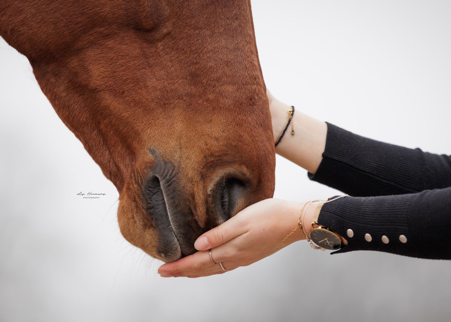 Liefdevolle paardenfotografie Twente - LivHoomansPhotography