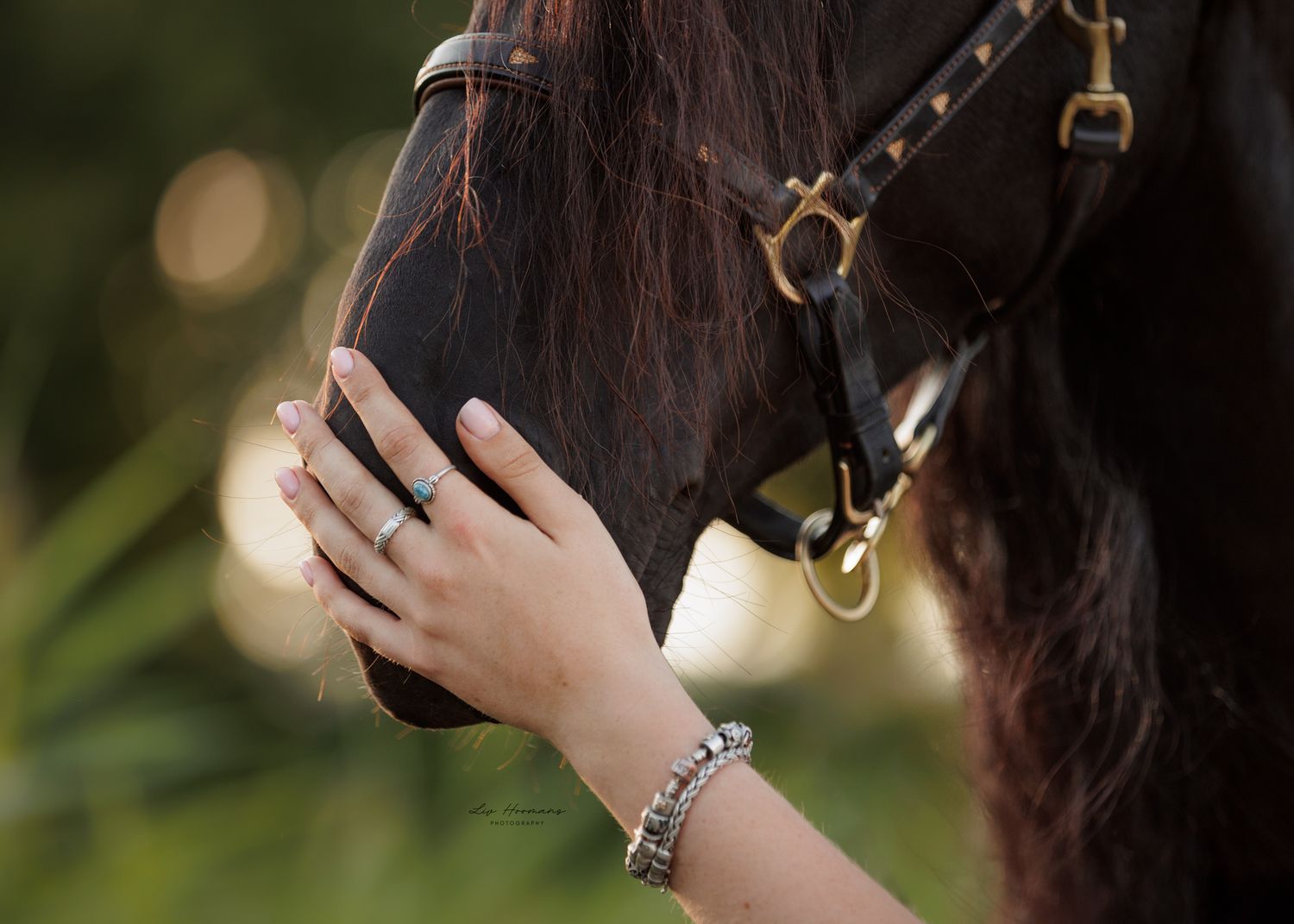 Liefdevolle paardenfotografie Twente - LivHoomansPhotography