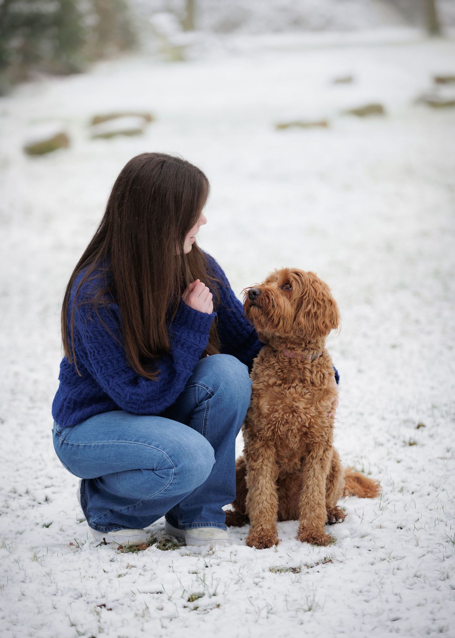 Liefdevolle paardenfotografie Twente - LivHoomansPhotography