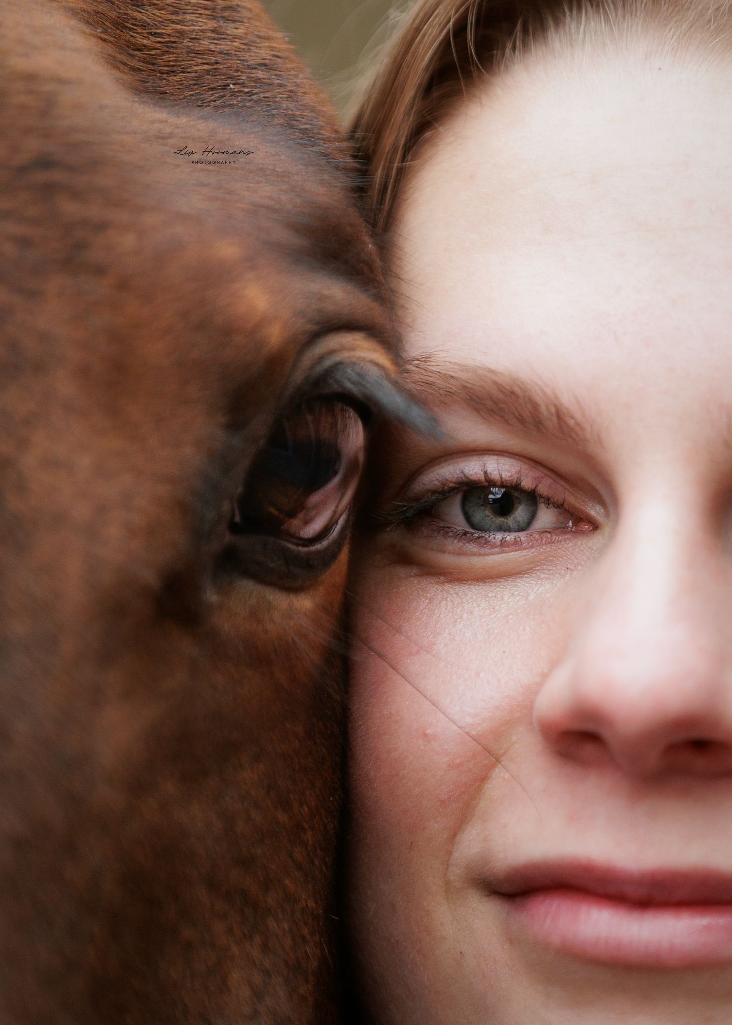 Liefdevolle paardenfotografie Twente - LivHoomansPhotography