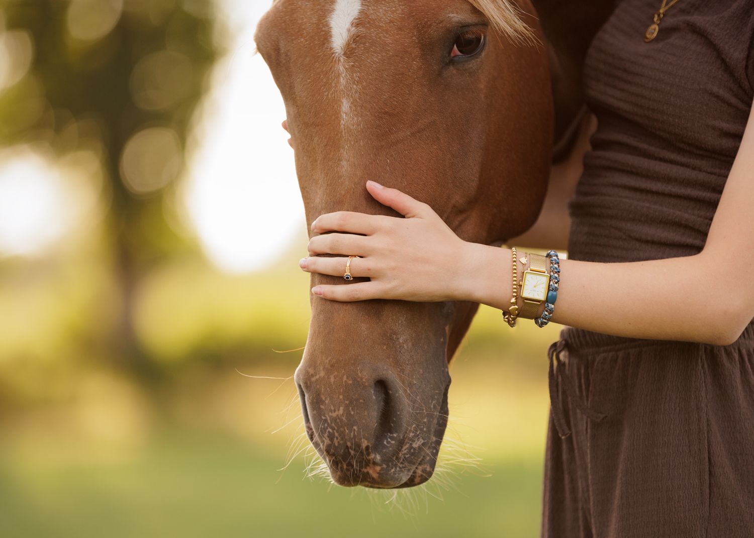 Liefdevolle paardenfotografie - LivHoomansPhotography - DeHippischeBeeldbank