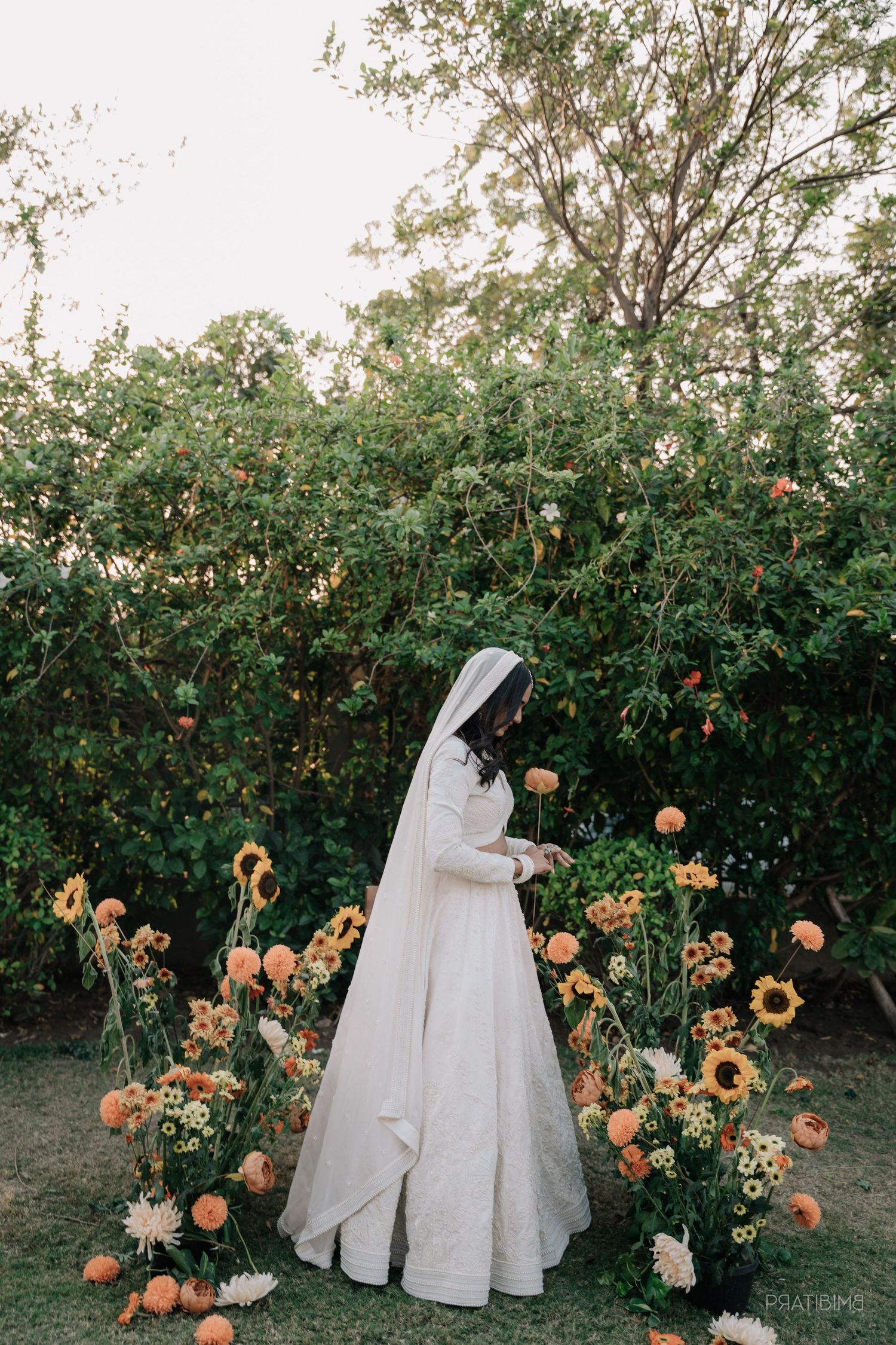 Bride in white gown standing among blooming orange roses and sunflowers in garden.