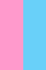 pink/blue for photoshoot backdrop options that Autumn Case with DreamStudios offers in the Toledo area