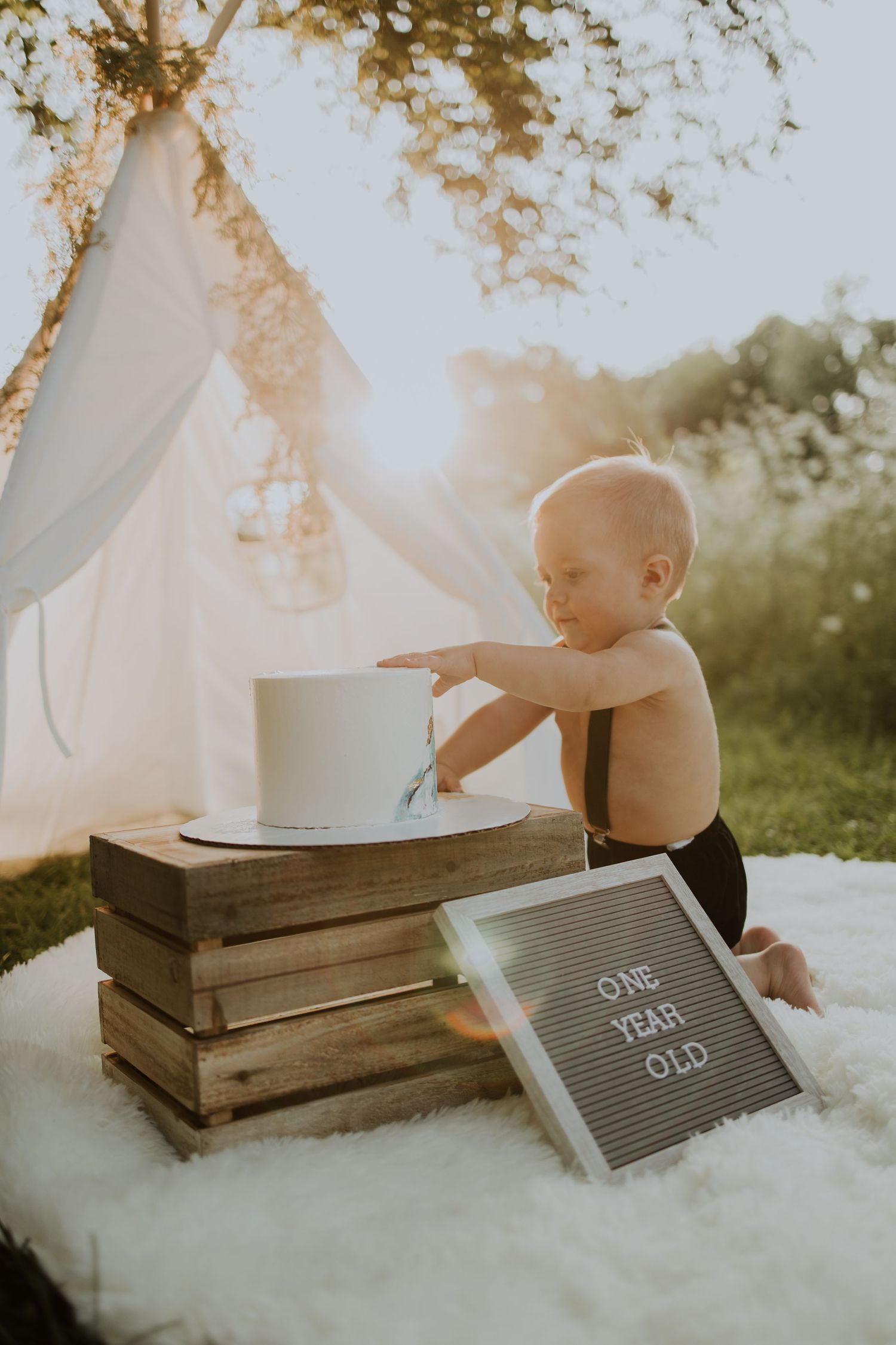 Autumn Case with DreamStudios offers affordable one year old smash cake photography in the Toledo Ohio area
