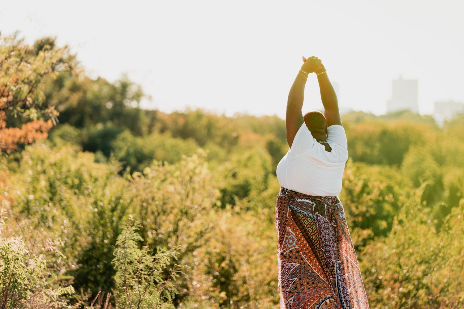 Dancing movements captured in a sunny field with natural vegetation.