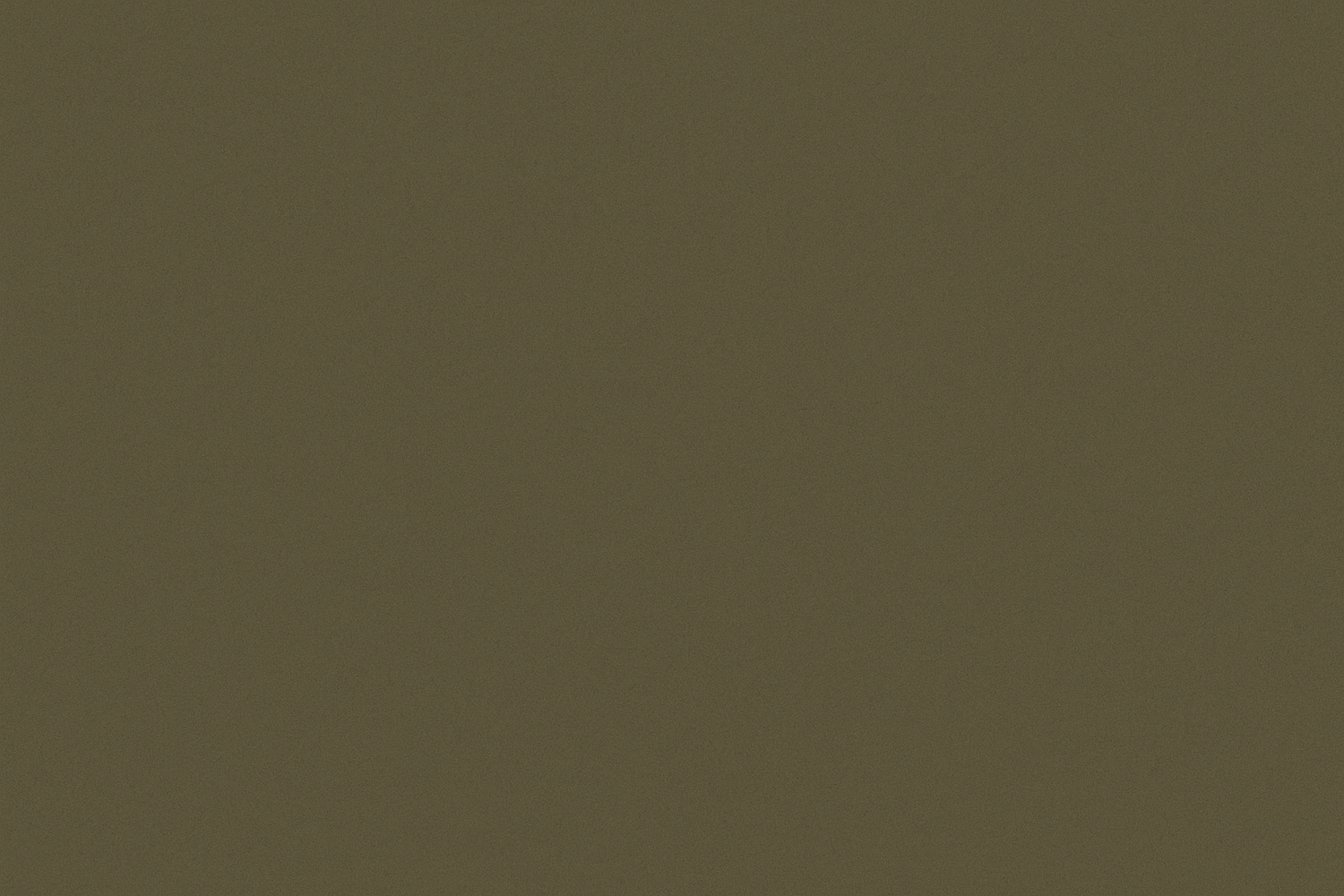 Military green solid color surface with subtle textural details.