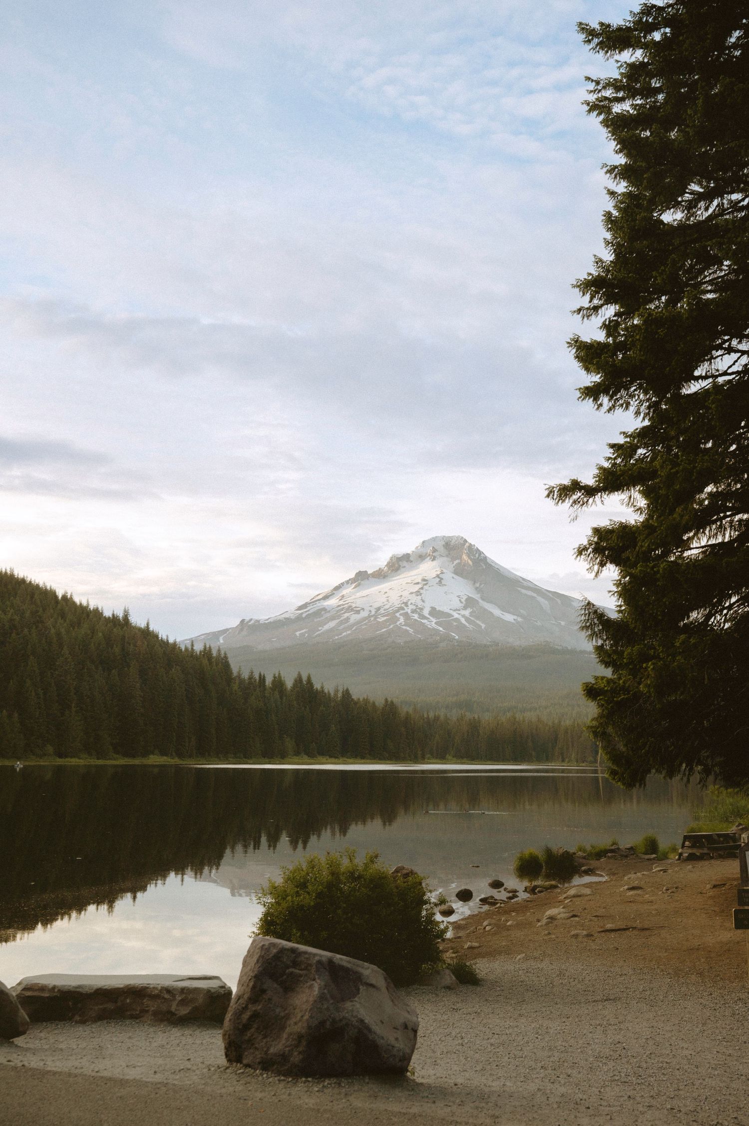 Snow-capped Mount Hood reflects in calm Trillium Lake, framed by evergreen trees and rocks in Oregon.